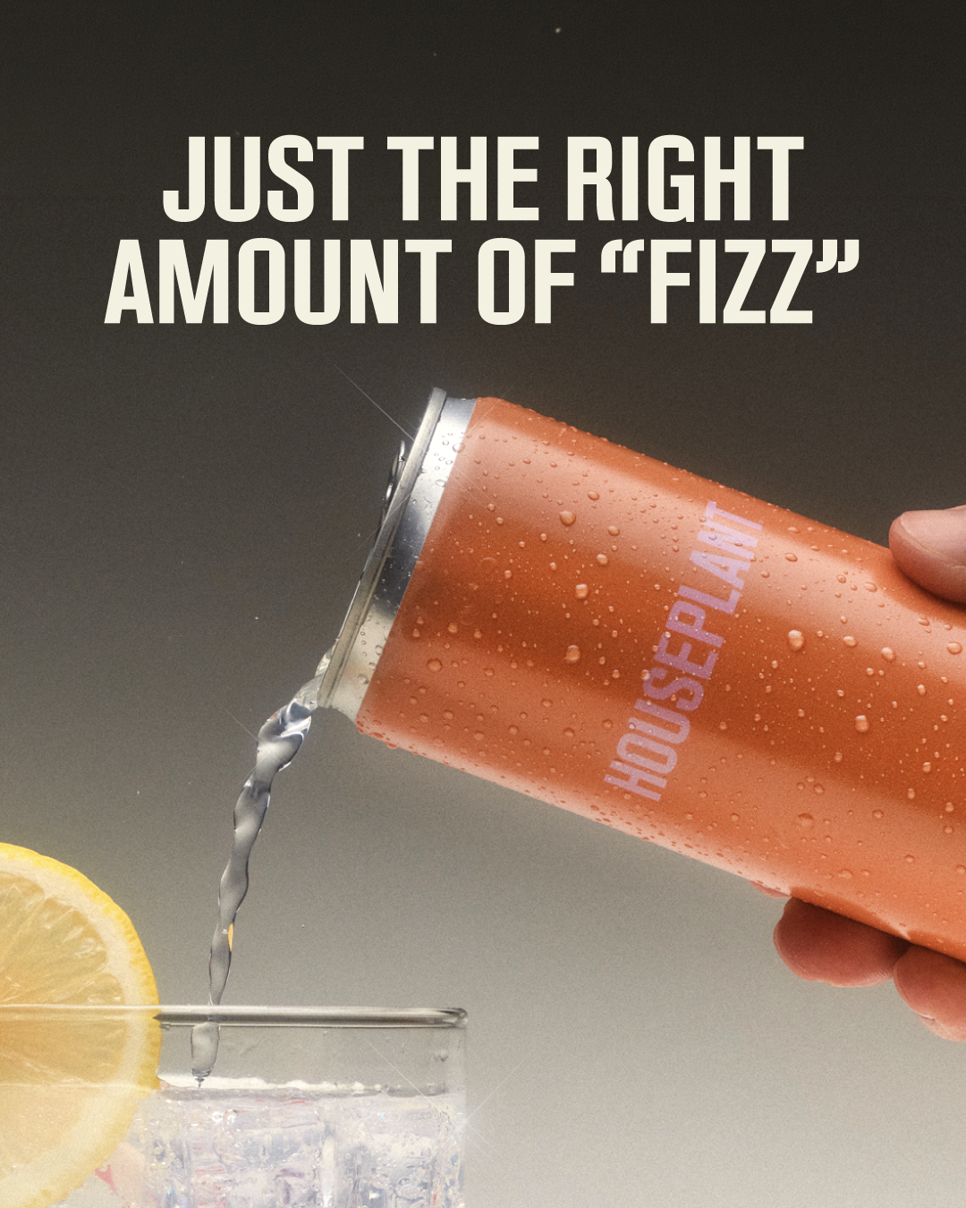 Static Content-evergreen drink houseplant ads-3.26-03.png