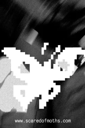 label stickers-03.jpg