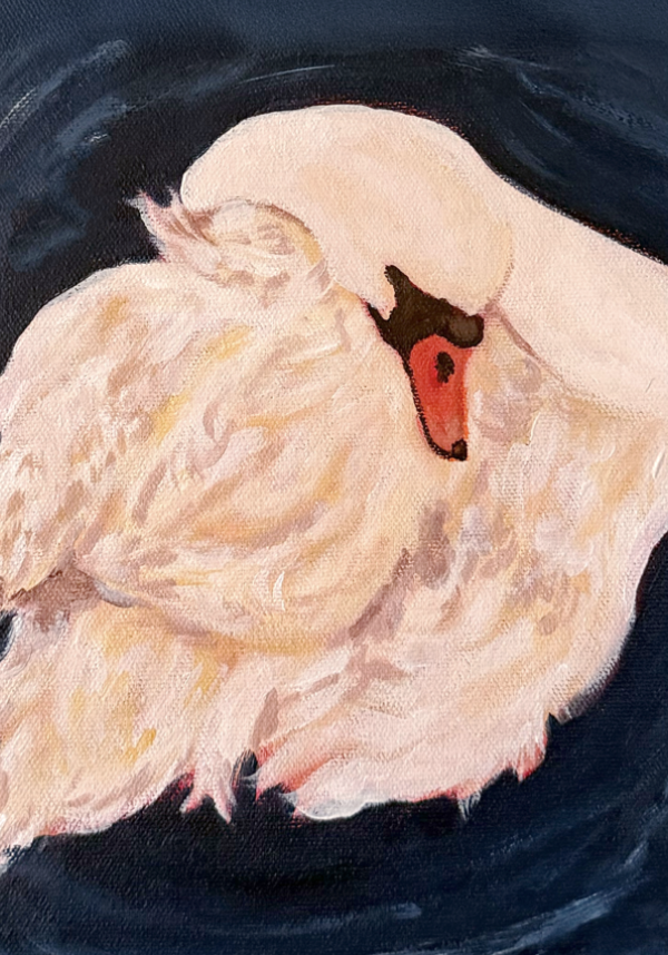cleaning feathers.png