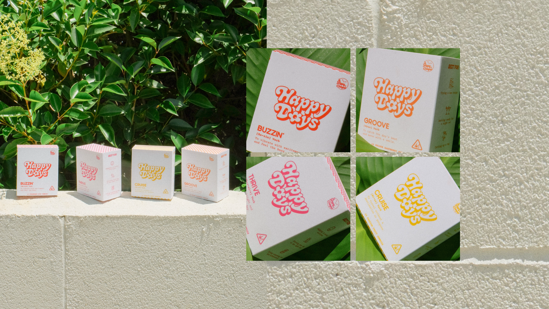 Happy Days branding-04.png