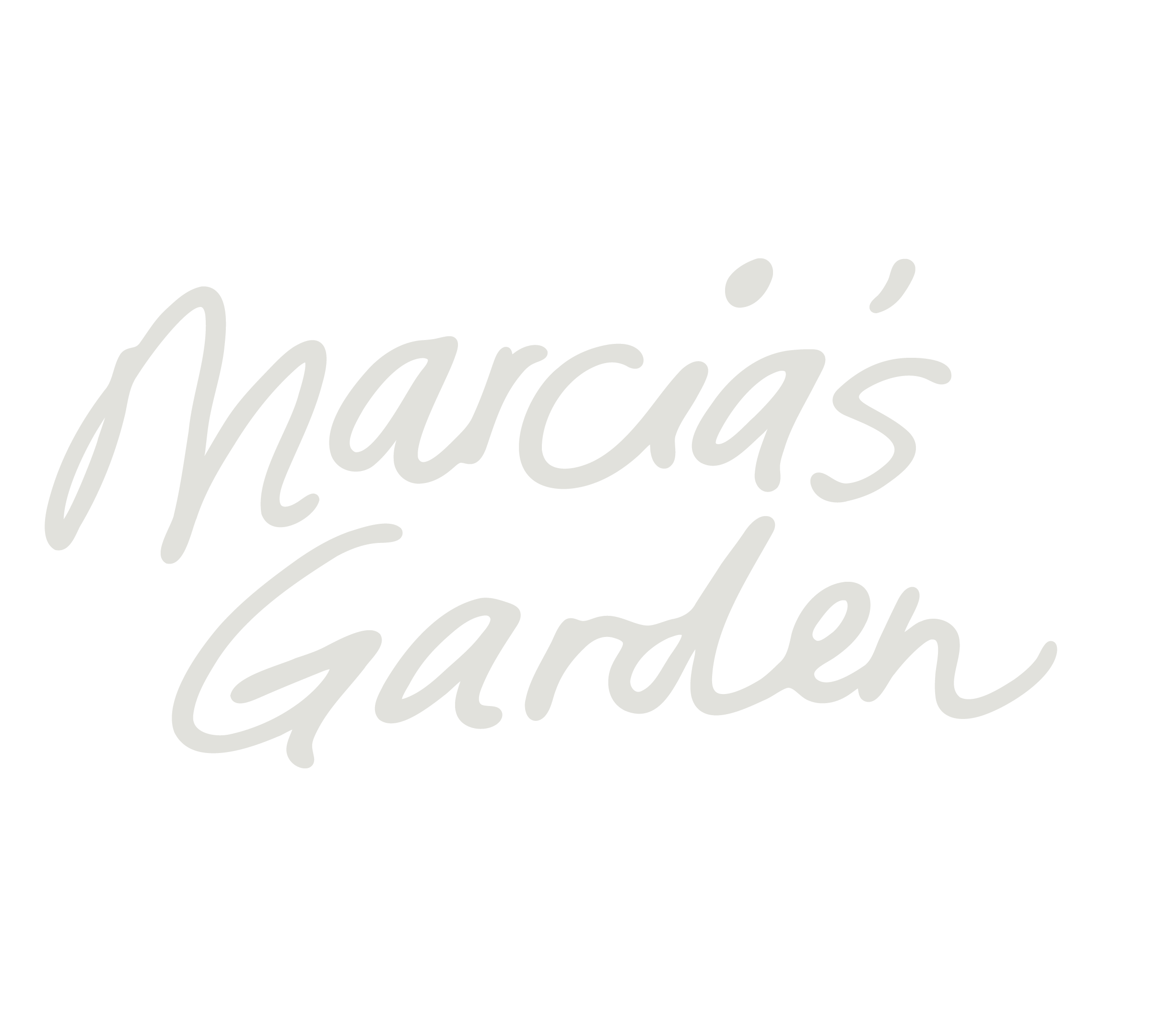 Custom botanical logo design for flower shop