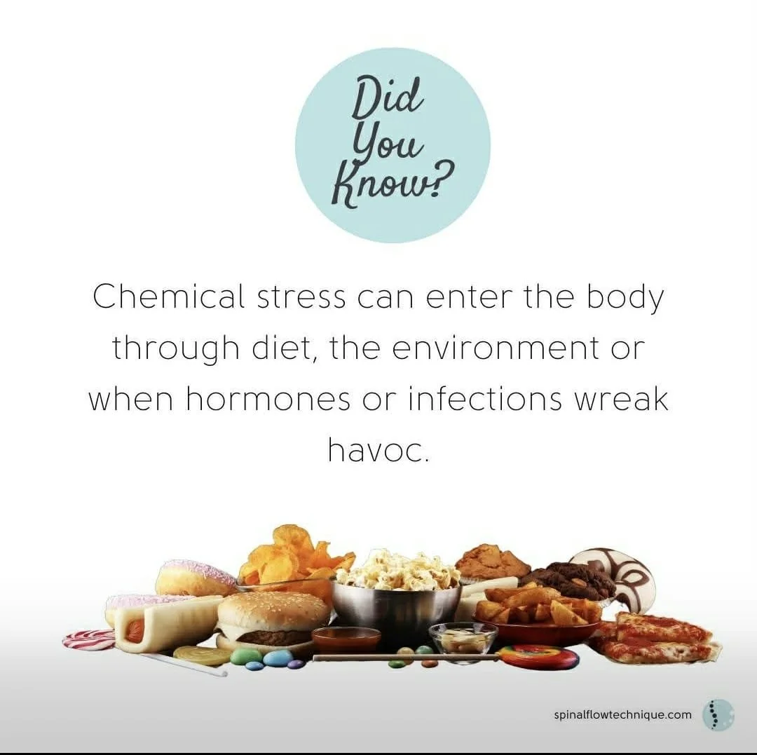 🌱 What is Chemical Stress &mdash; and Why It Matters

Chemical stress comes from toxins and imbalances &mdash; from processed foods, pollutants, medications or metabolic waste &mdash; that over time create subtle disruption inside your body. This st