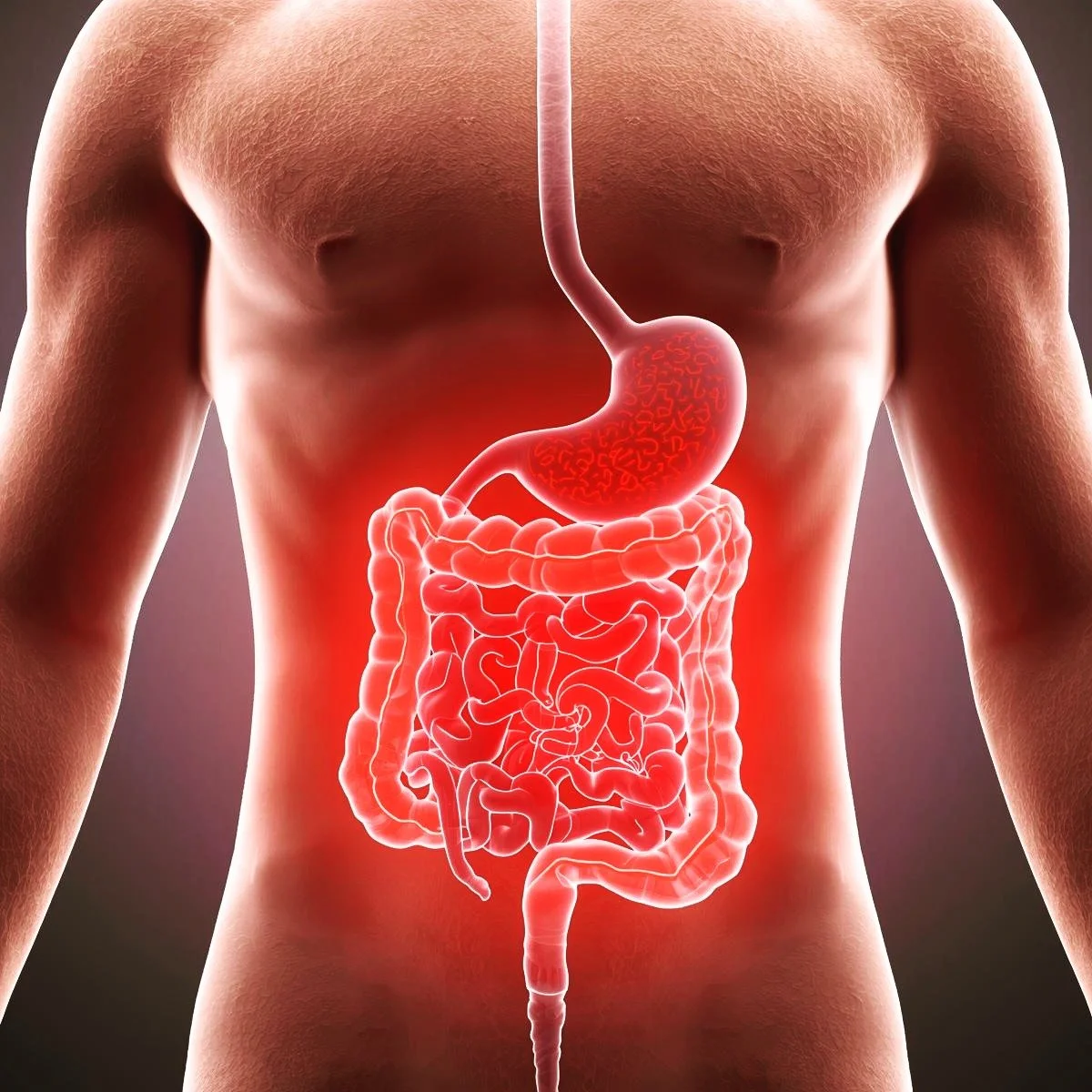 CONSTIPATION, IBS AND ANXIETY

How did Constipation and IBS happen to me? Why do I have Anxiety?
Stop waking up exhausted every day!

You've done the exercise, drunk the water, had a healthy diet and still you're putting up with this!

Well Constipat