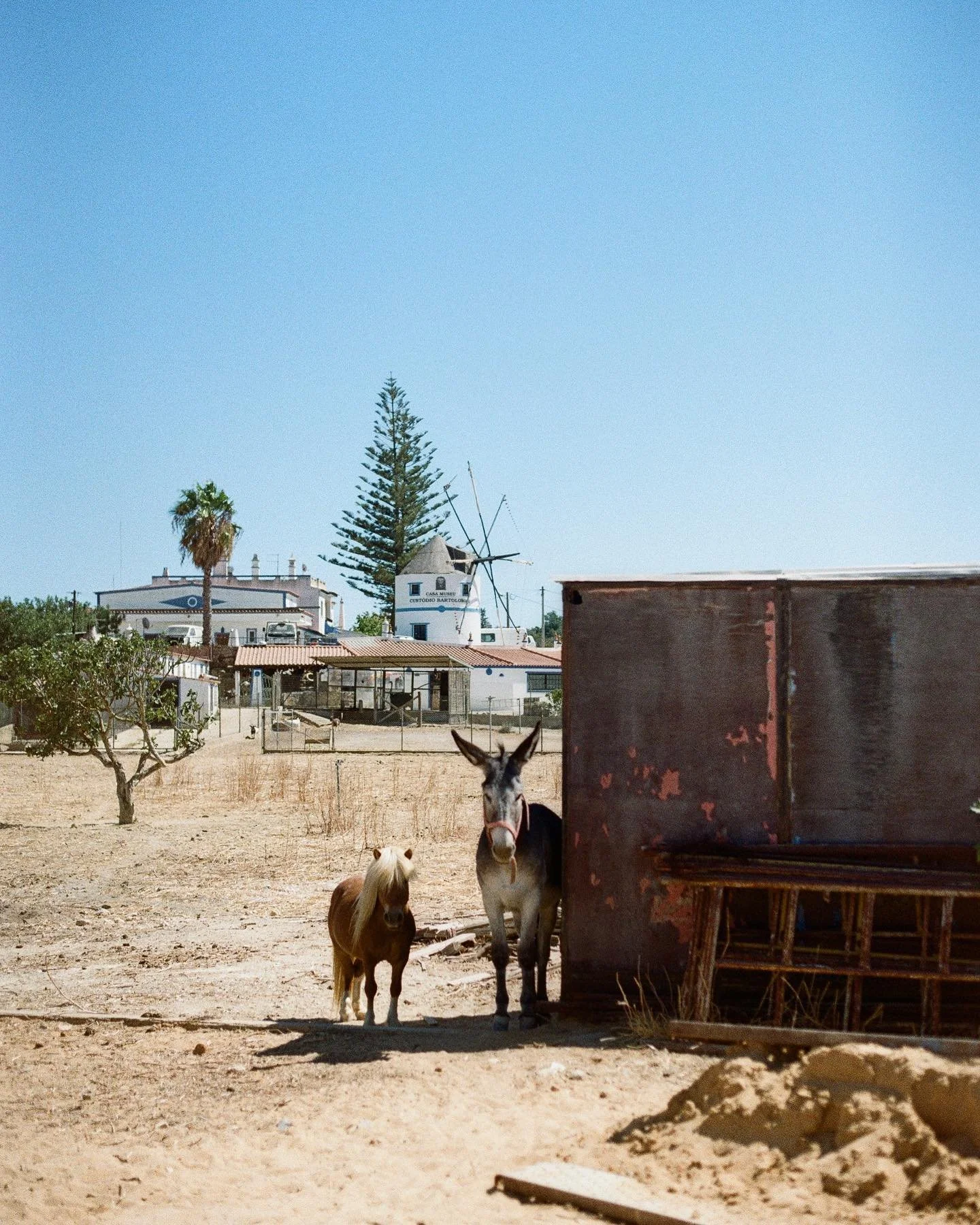Portugal donkeys + Iceland horses #35mm #filmprints 

#35mmfilm #portugalfilm #portugalphotography #icelandphotography #iceland #portugaldonkeys #icelandhorse #filmphotography #kodakgold #kodak35mm #comethroughlab #australianphotographer #travelphoto
