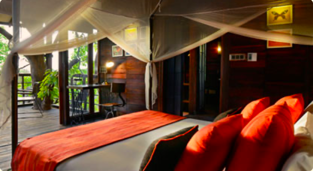Pench Tree Lodge, Pench