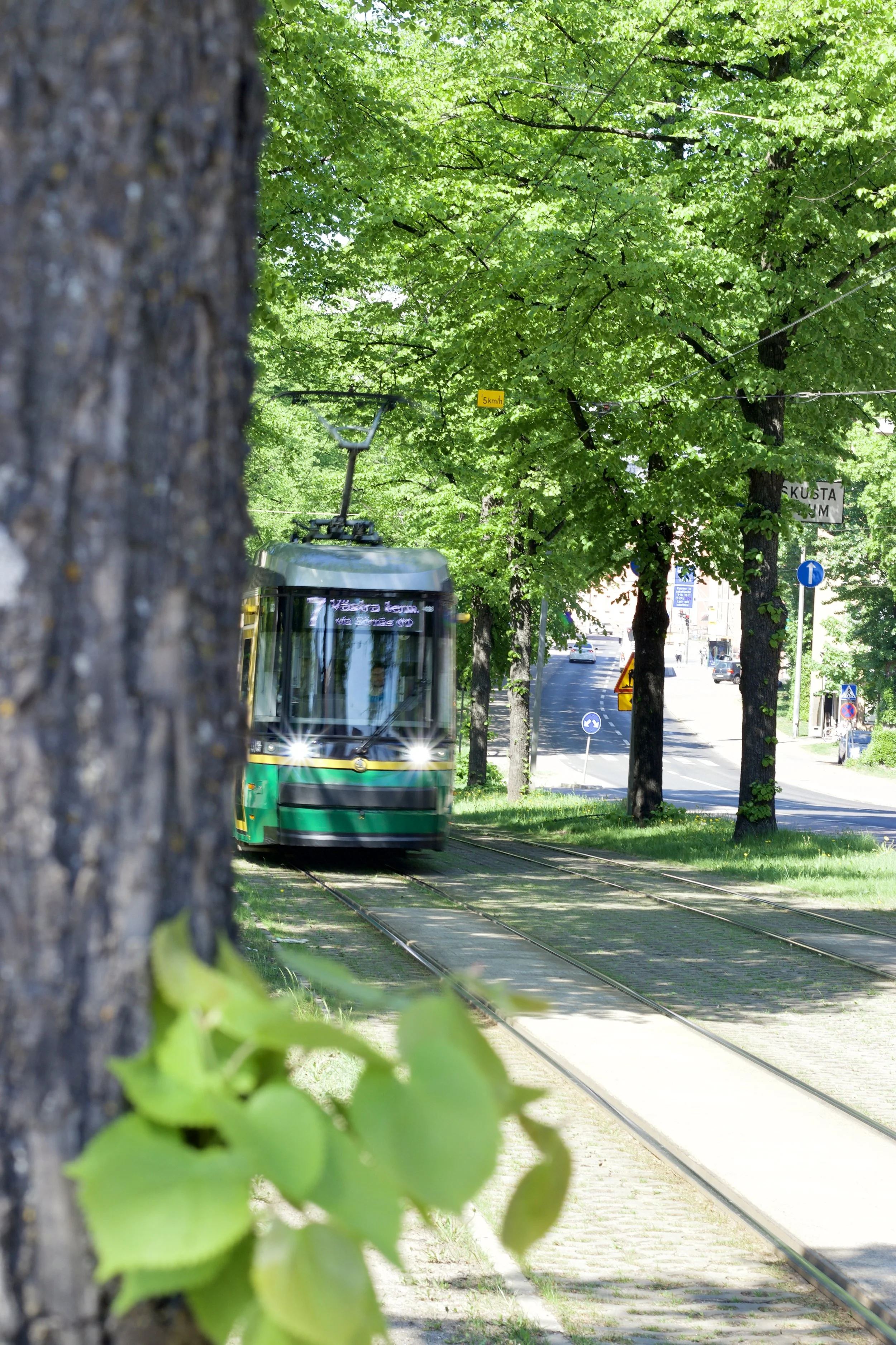 tree tram helsinki city Queerland 