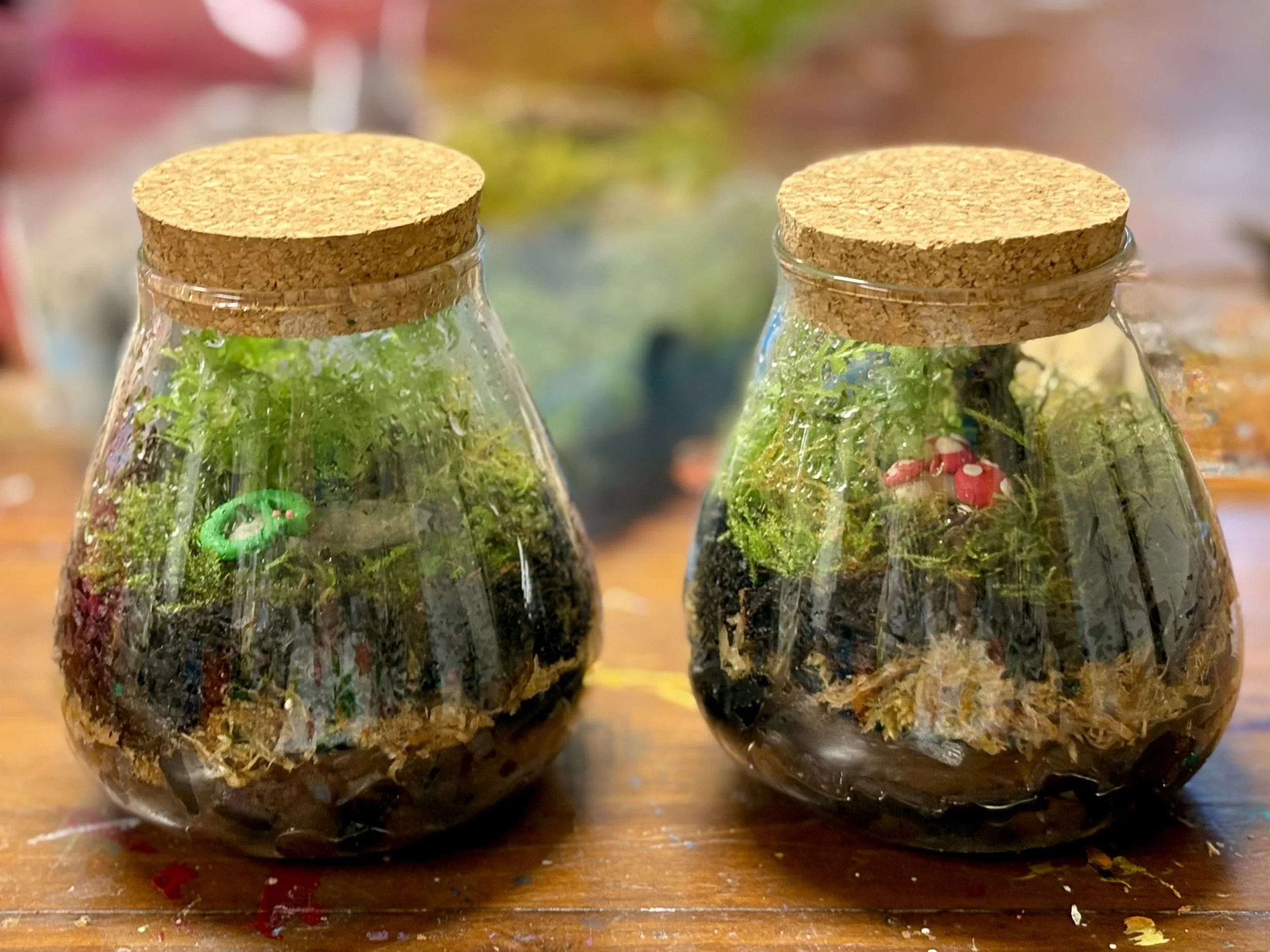 terrarium