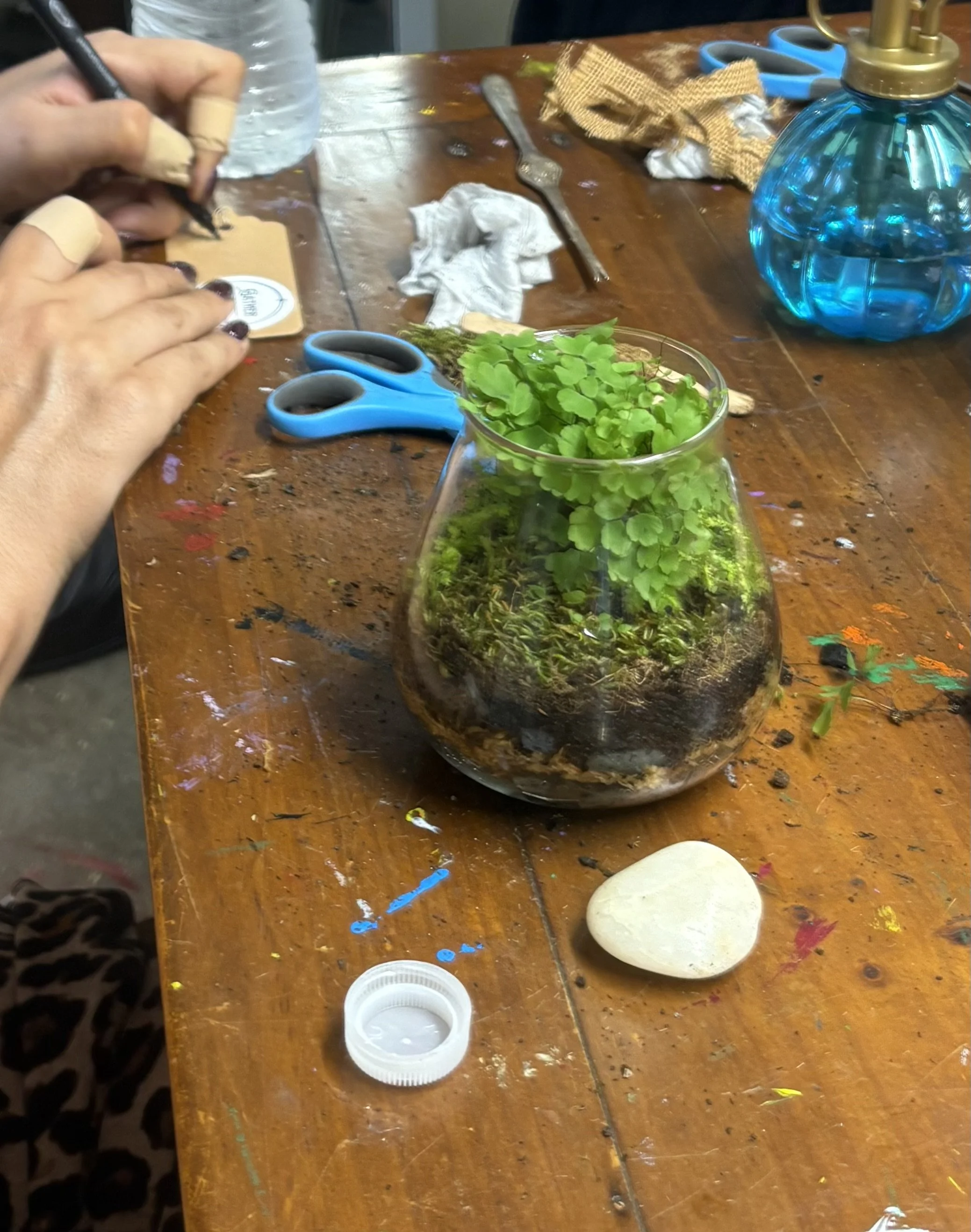 terrarium