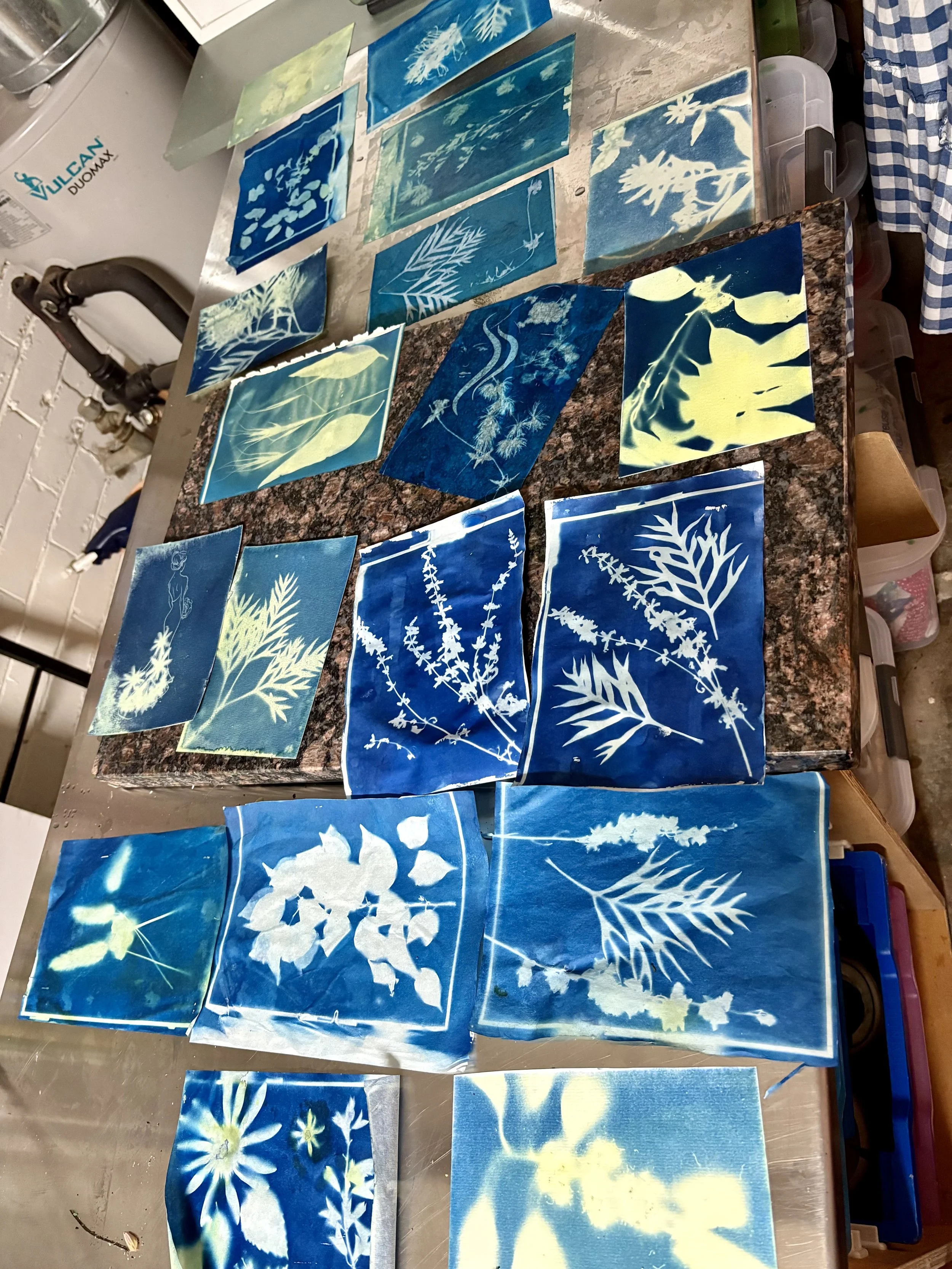 cyanotype