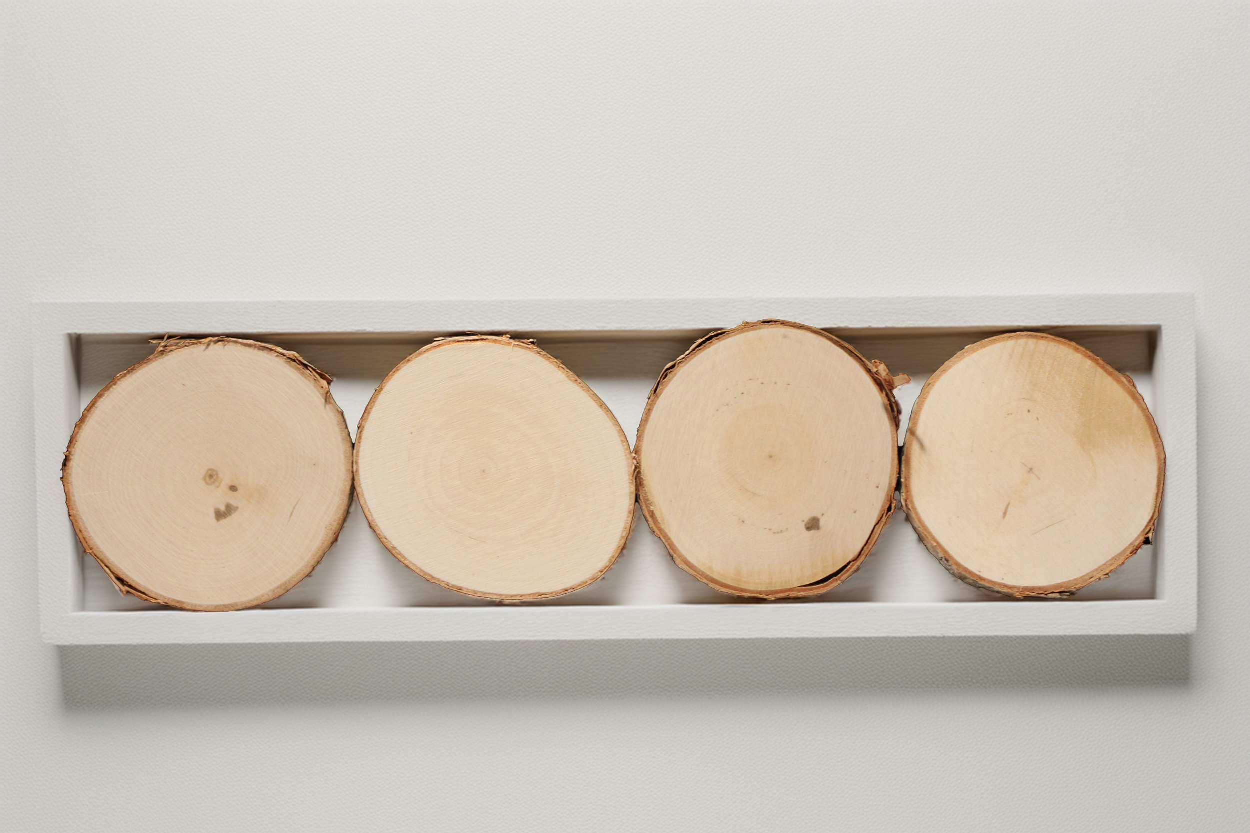 Live Edge Coasters