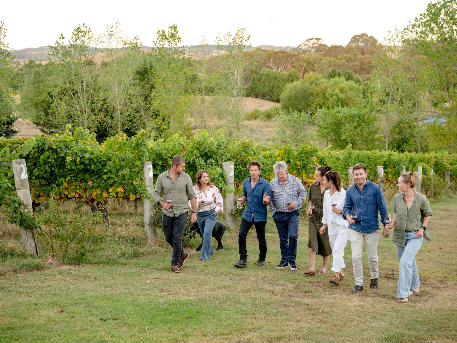Bud to Bottle Tour with Vintners' Lunch