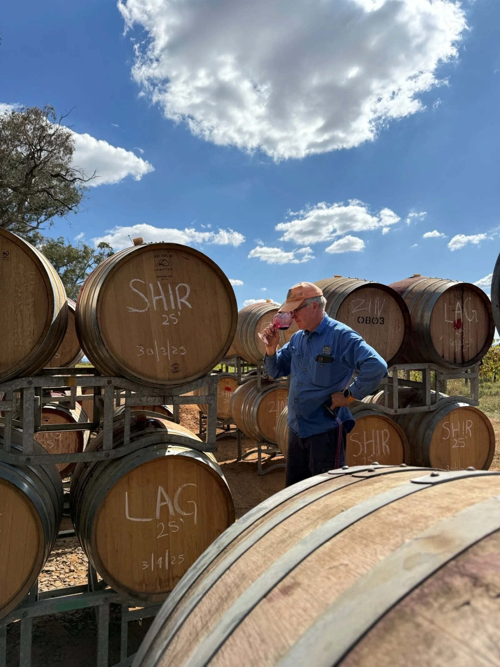 ‘Meet The Producer’ Workshops: Olive Oil &amp; Good Earth - The Holistic Approach