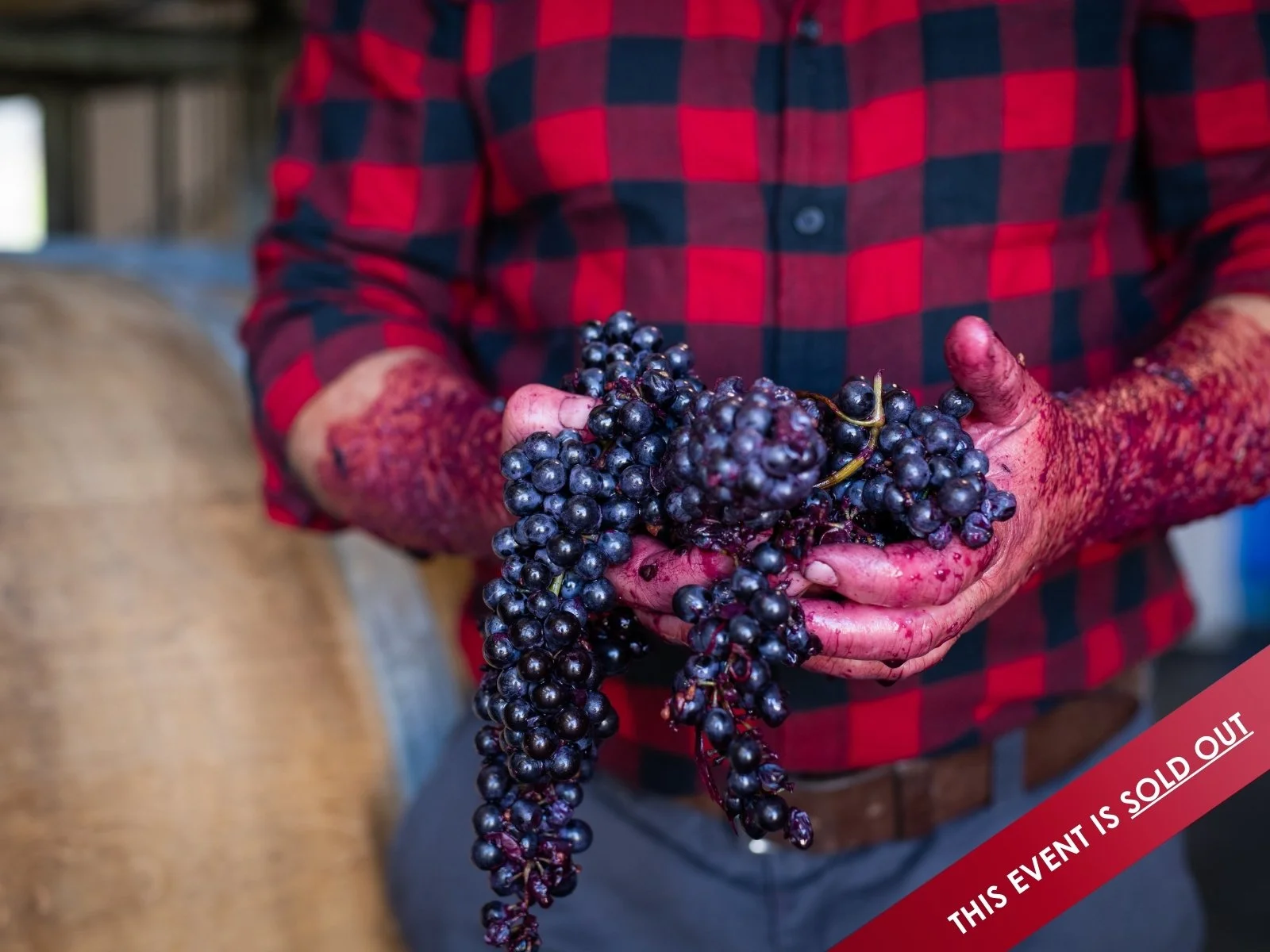 Traditional wine making experience at Orange Mountain Estate&nbsp;