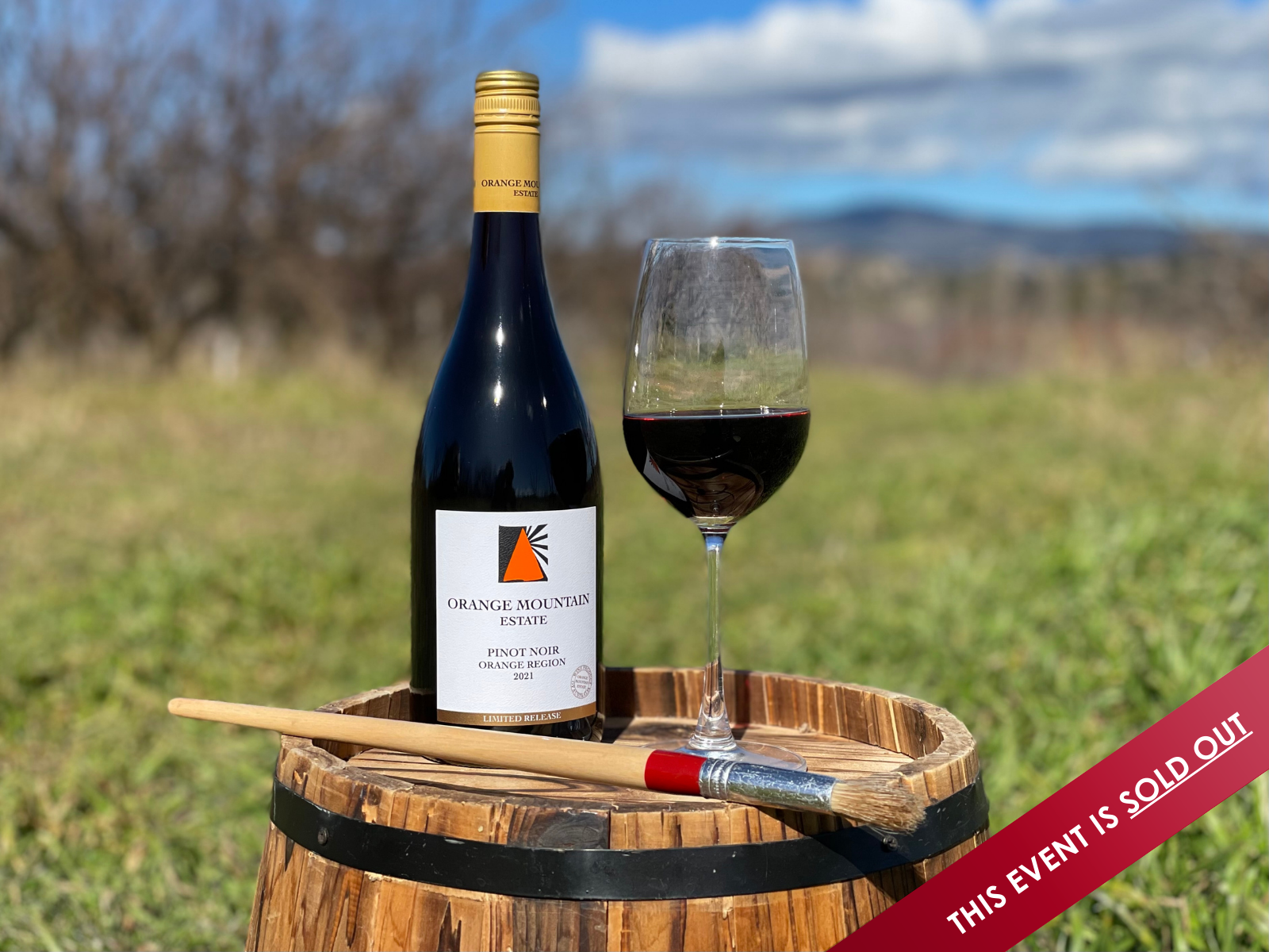 A Paddock, a Pinot and a Paintbrush