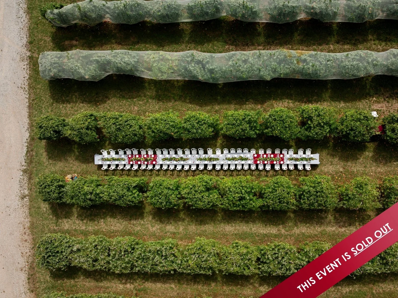 From Tree to Table – A Progressive Orchard Lunch