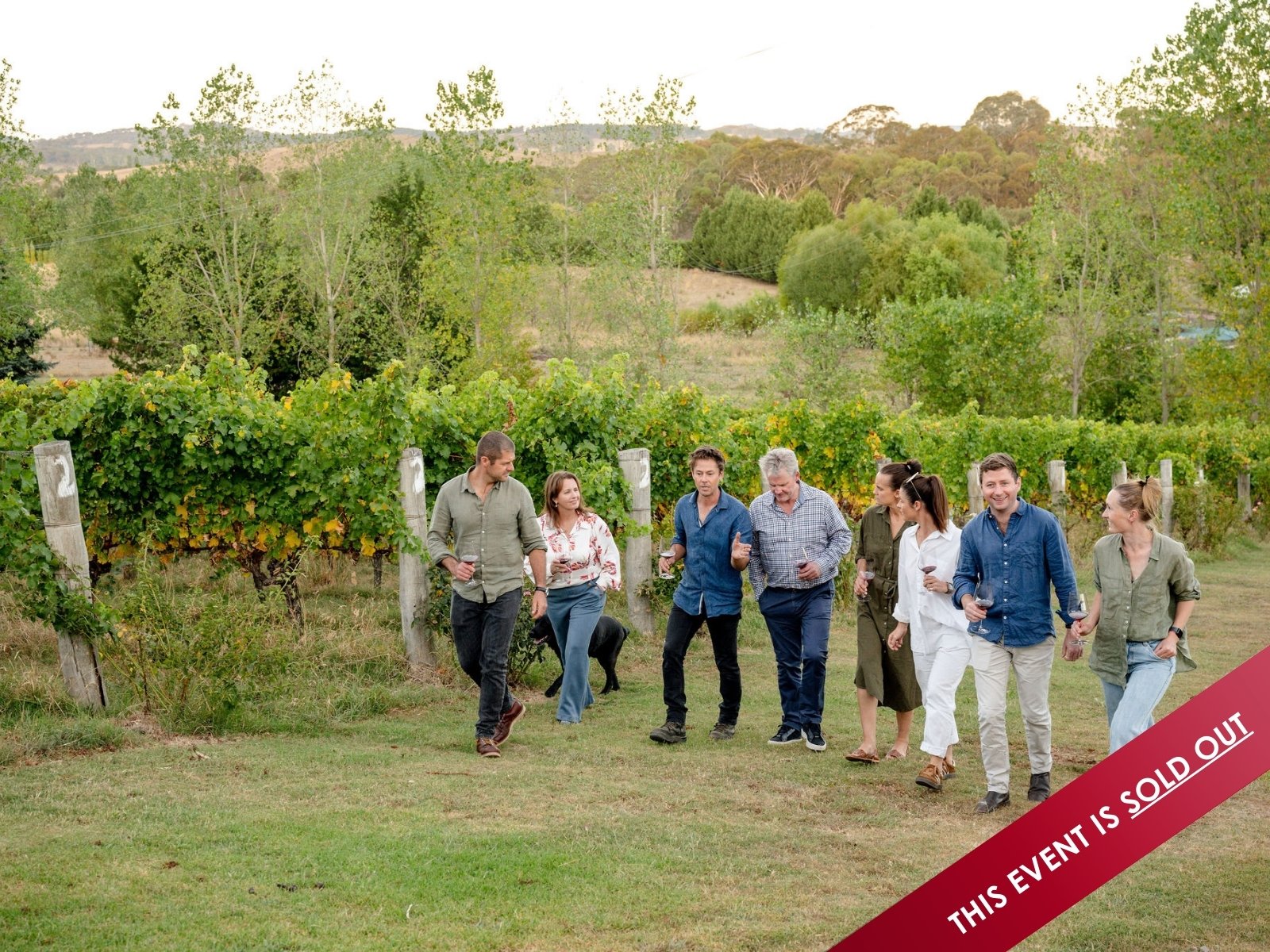 Bud to Bottle Tour with Vintners' Lunch