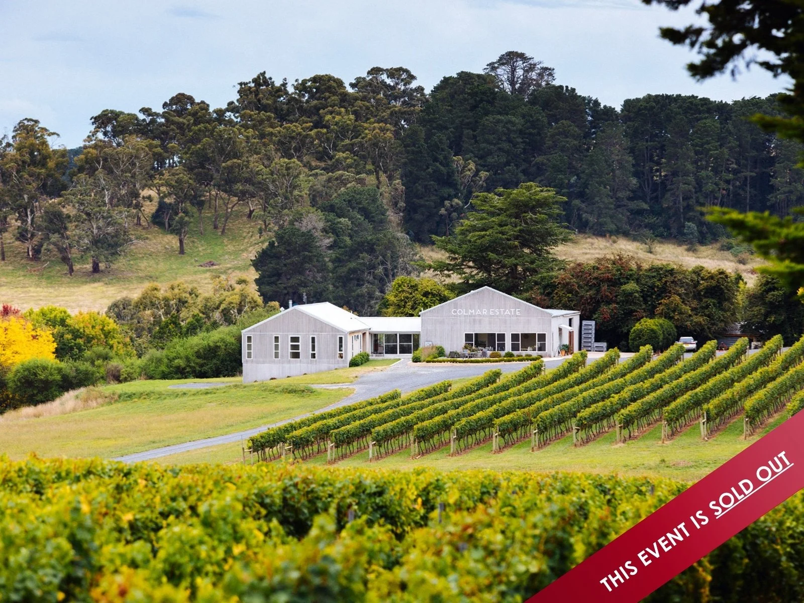 Colmar x Lucetta: A Long Lunch with Jazz in the Vines