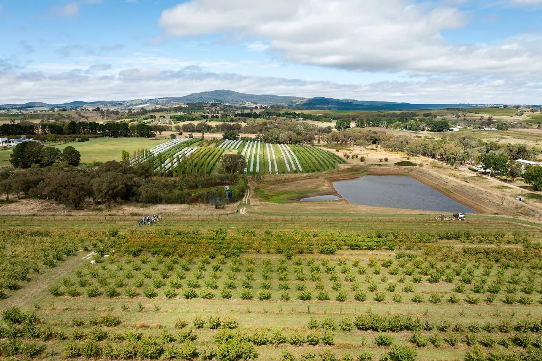 Harvest Sunset Picnic