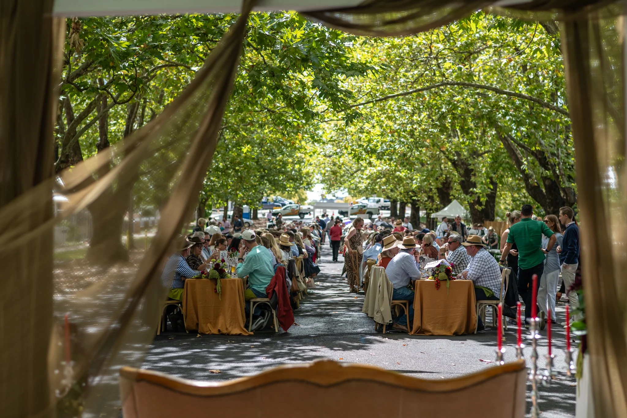 Sampson Street Lunch