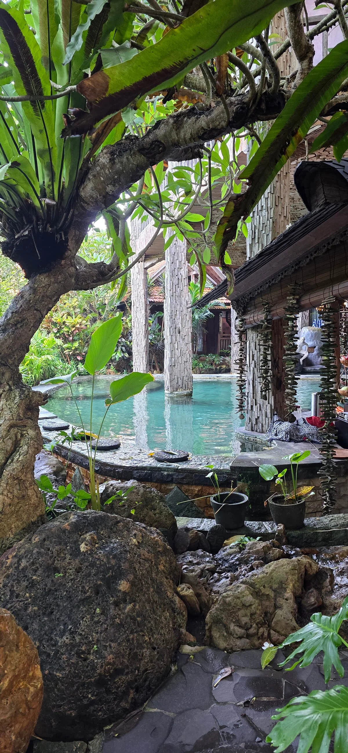 Tropical outdoor scene with a small pond, large rocks, lush green plants, and a traditional wooden structure, surrounded by dense greenery.