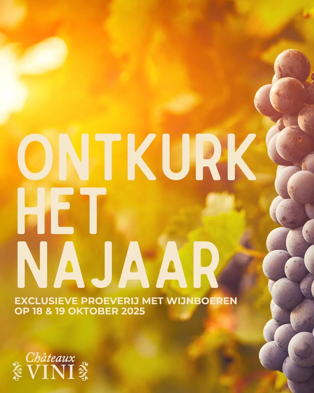 🍂 Ontkurk het najaar bij Ch&acirc;teaux Vini. 🍂
Kom genieten van de mooiste herfstsmaken, met 100 prachtige wijnen uit Frankrijk &amp; Itali&euml; &mdash; van parels rond 10 euro tot absolute top-iconen.

🍂 Wanneer? 
Zaterdag 18 &amp; Zondag 19 ok