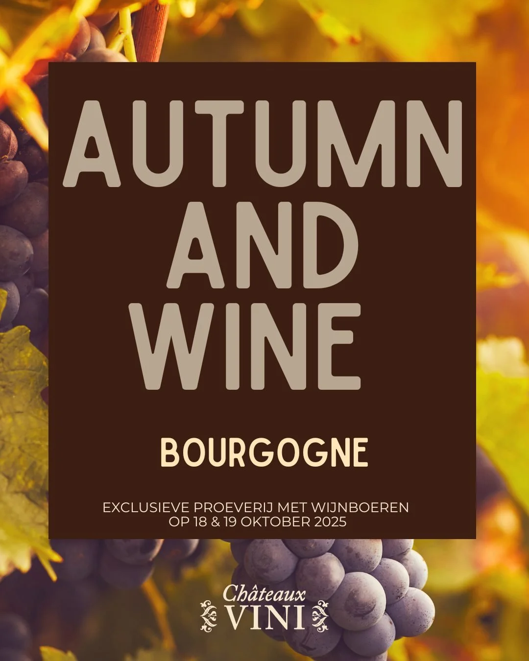 Tijdens onze 'Ontkurk het najaar'-proeverij op 18 en 19 oktober zetten we enkele parels uit Bourgogne in de spotlights!
Ontdek de finesse en elegantie van topdomeinen zoals Ch&acirc;teau de la Greffi&egrave;re, Magnien en Girardin. Stuk voor stuk wij