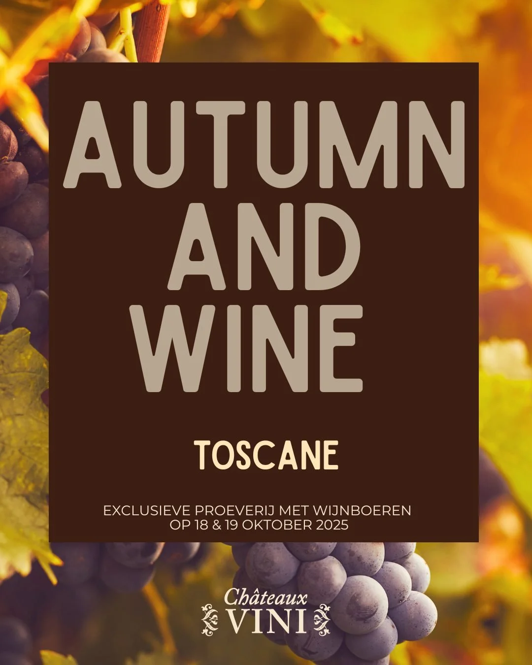🍂 Toscaanse Herfst 🍷

Tijdens onze herfstproeverij laten we de zonovergoten heuvels van Toscane tot leven komen met drie absolute toppers:

🍂 Dei (Montepulciano) &ndash; icoon van de Vino Nobile, waar traditie en elegantie hand in hand gaan.
🍂 Bi