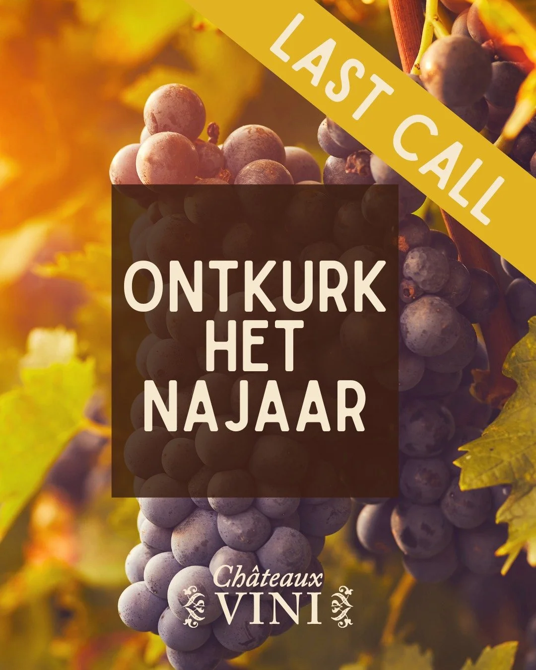 LAST CALL VOOR COSY HERFSTVIBES 🍁🍂🍷

Morgen begint onze gezelligste proeverij van het jaar! Schrijf je nog snel in via de link in bio en kom persoonlijk kennis maken met meer dan 17 gepassioneerde wijnbouwers uit Frankrijk en Itali&euml;.

Tot mor