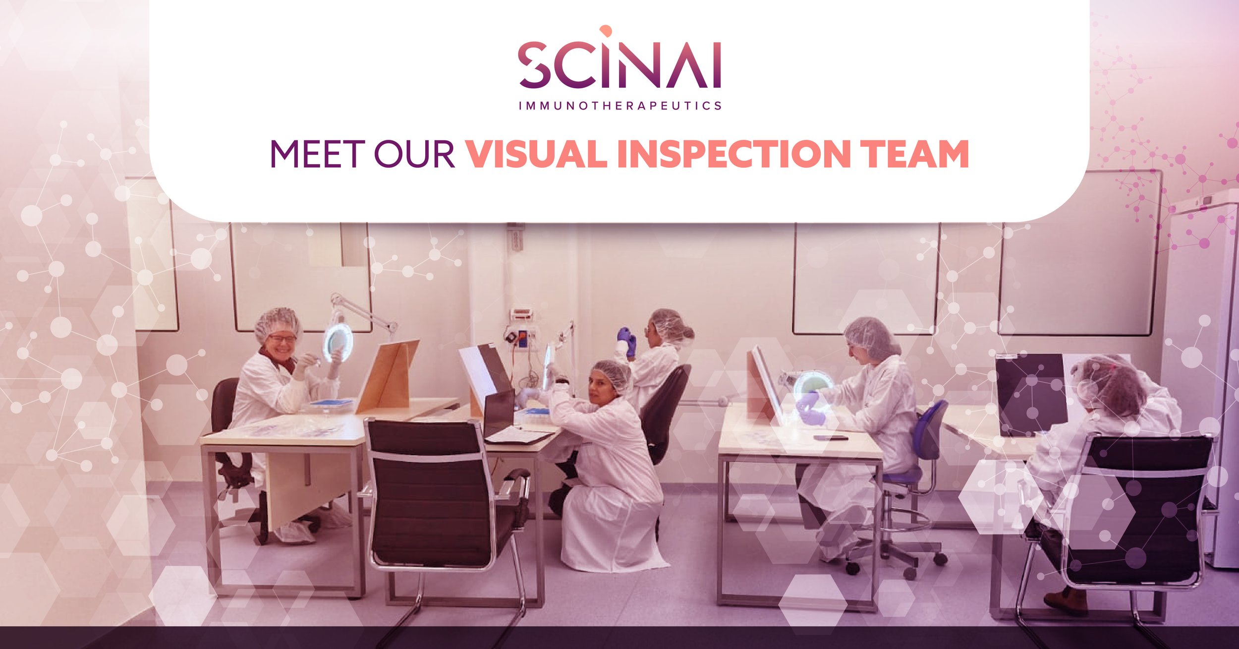 Scinai_visual_inspection_team.jpg
