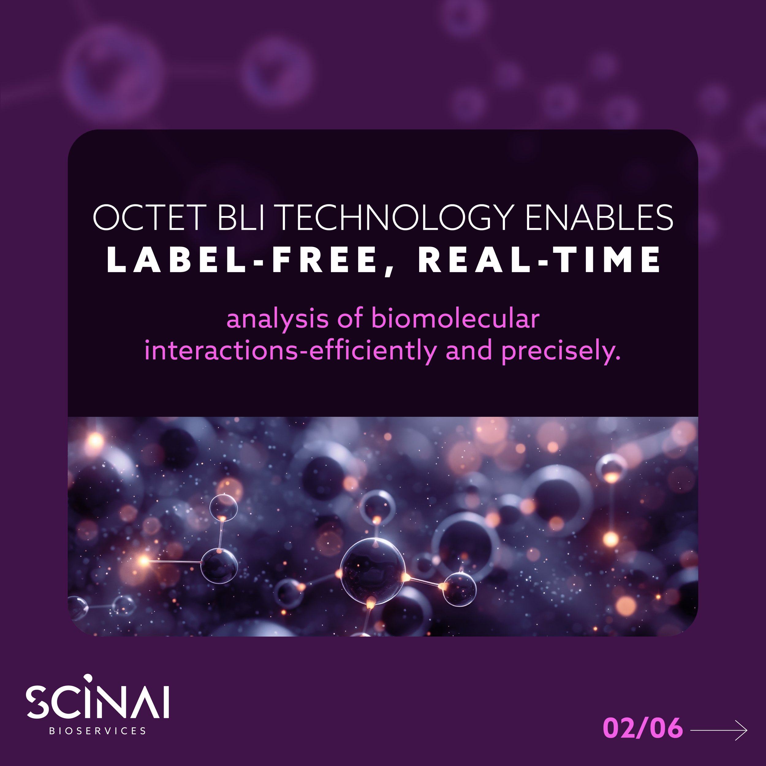 SCINAI_The Octet BLI Technology2.jpg