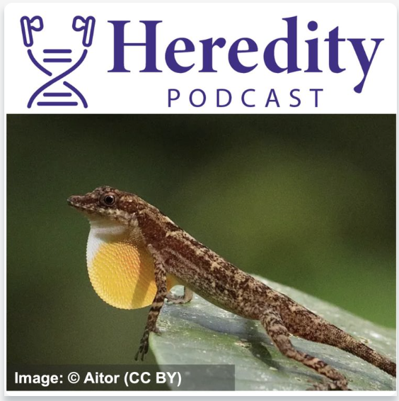 🎙️ Podcast Feature!