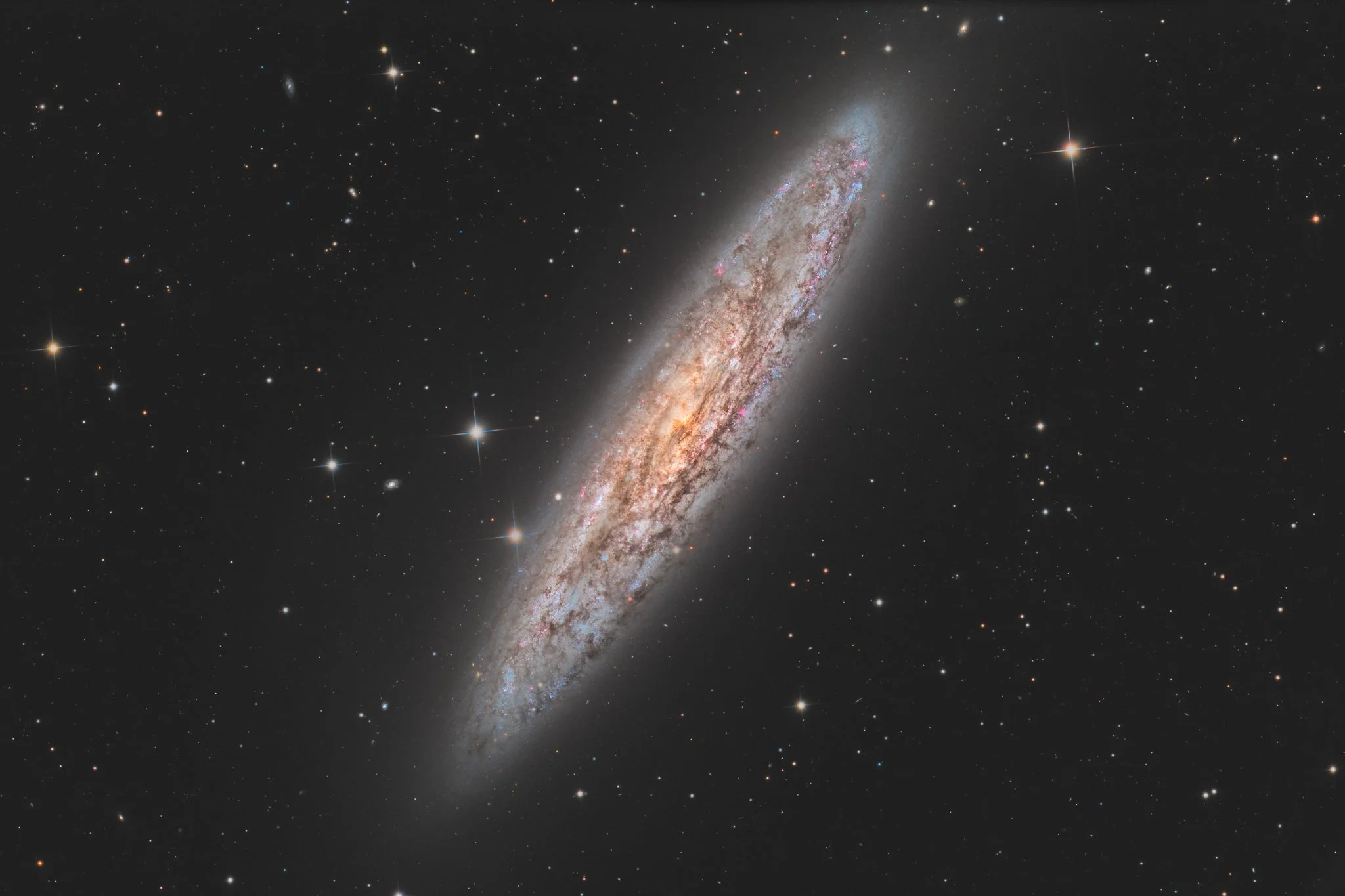La galaxie du Sculpteur (NGC 253)