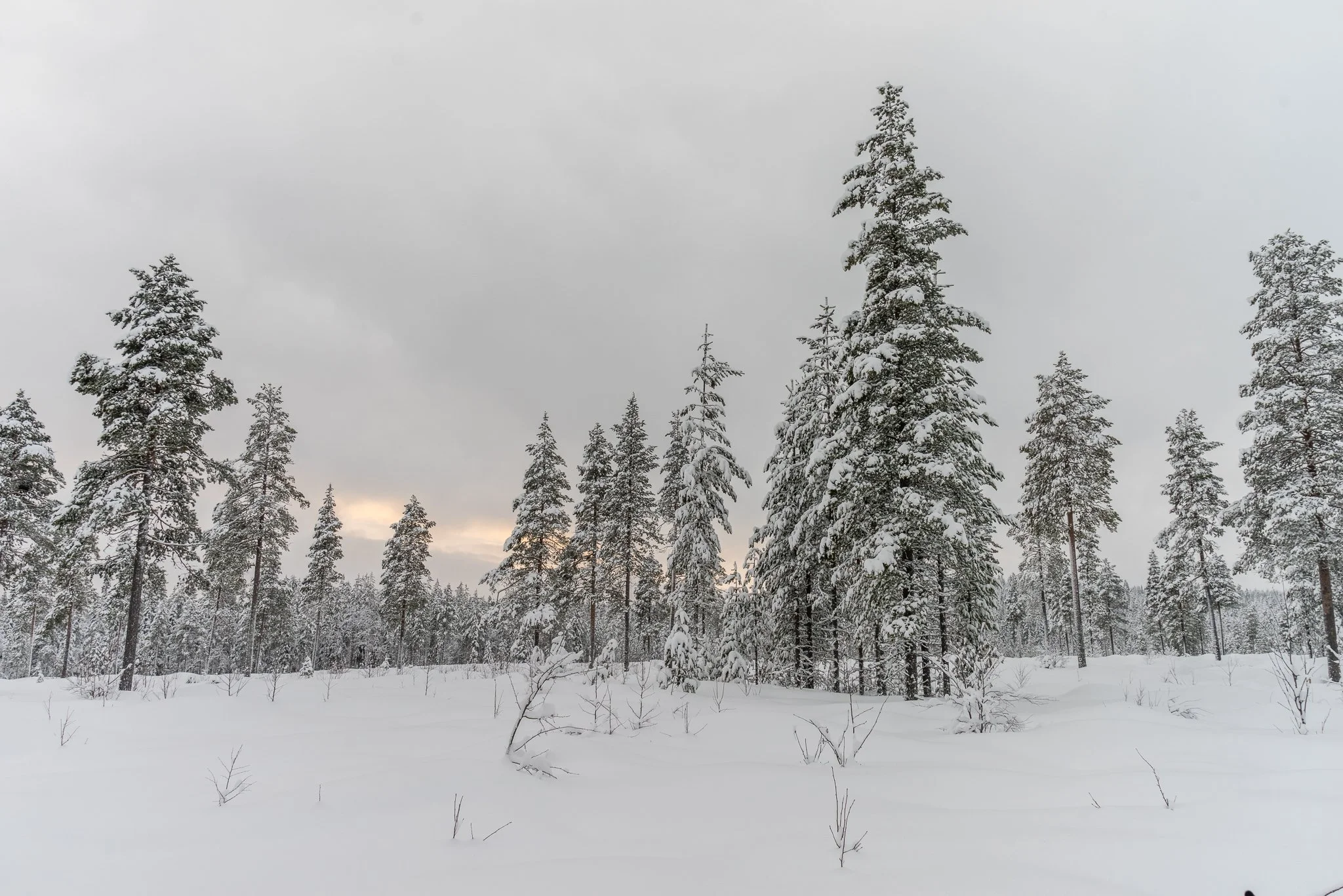 Le cercle arctique en Finlande