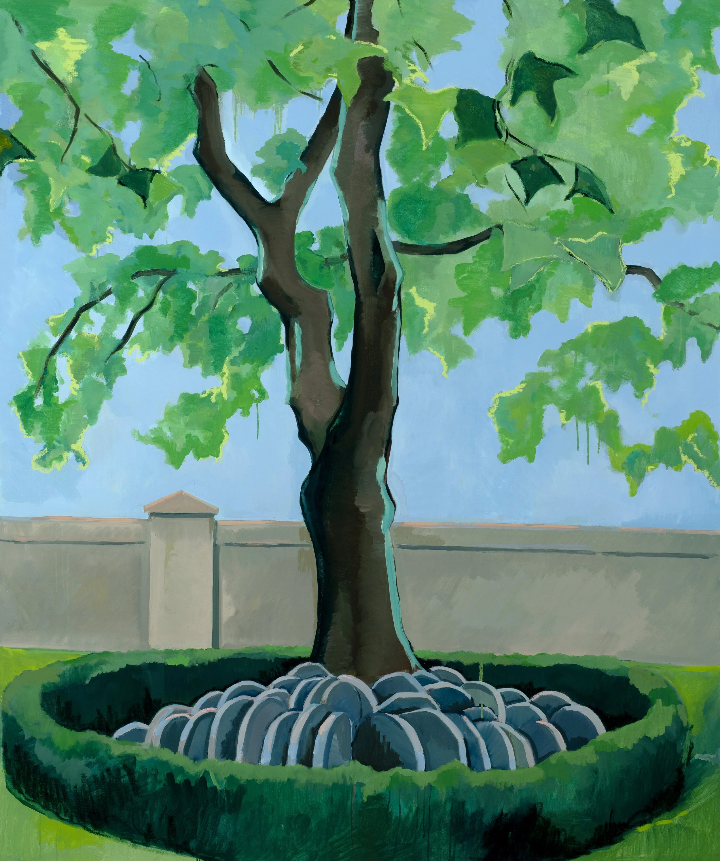 Hardy Tree, (London), 2026, 180 x 150cm, Oil on Canvas
