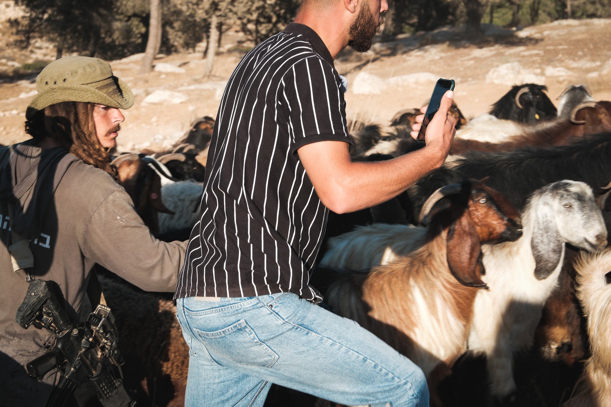 Mohammad attempts to shoo the settler’s goats away from his olive grove.