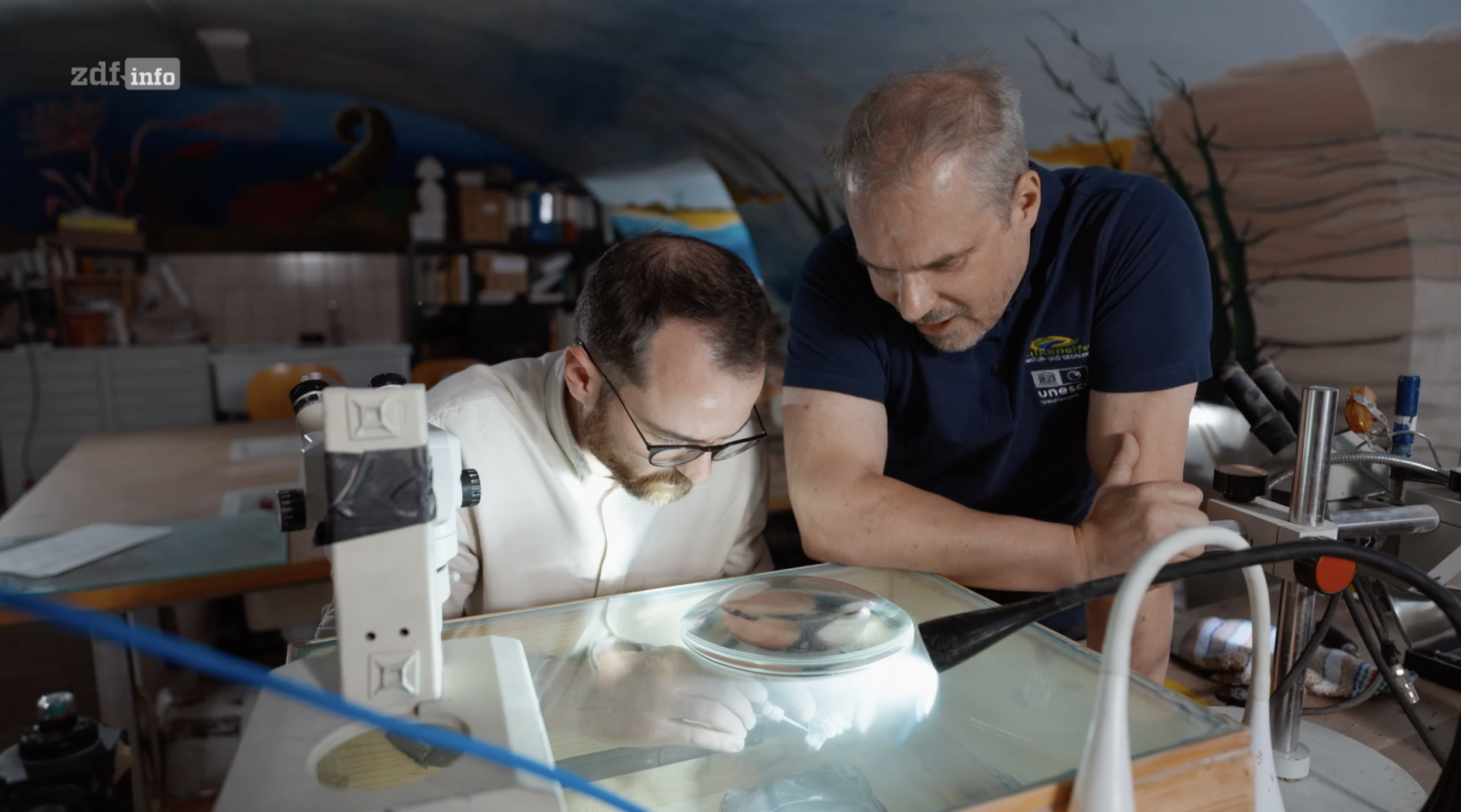 Bildschirmfoto 2026-01-09 um 18.06.08.png