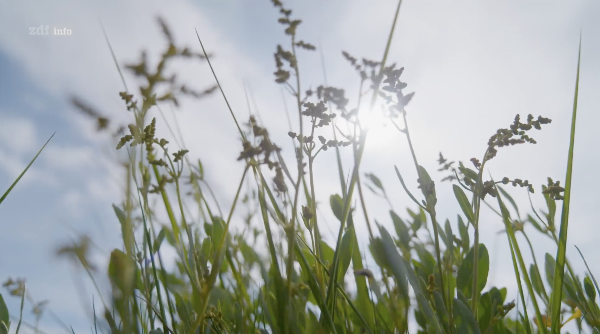 Bildschirmfoto 2026-01-09 um 18.10.10.png