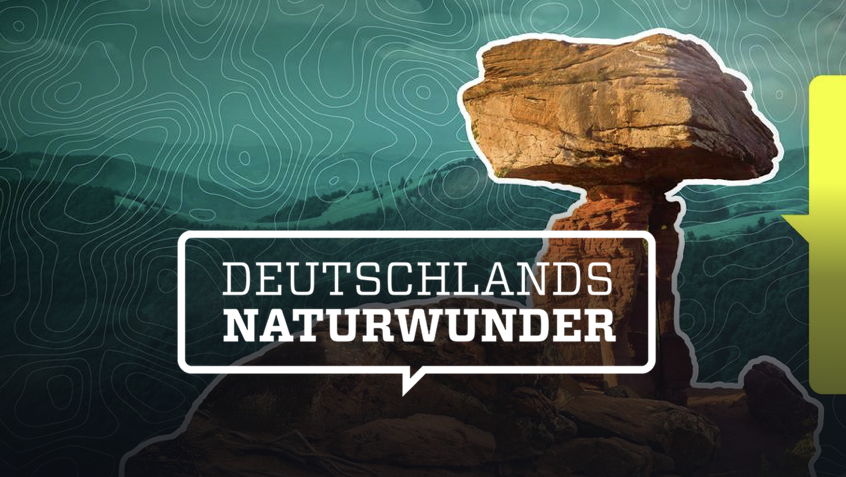 Bildschirmfoto 2026-01-08 um 22.24.27.png