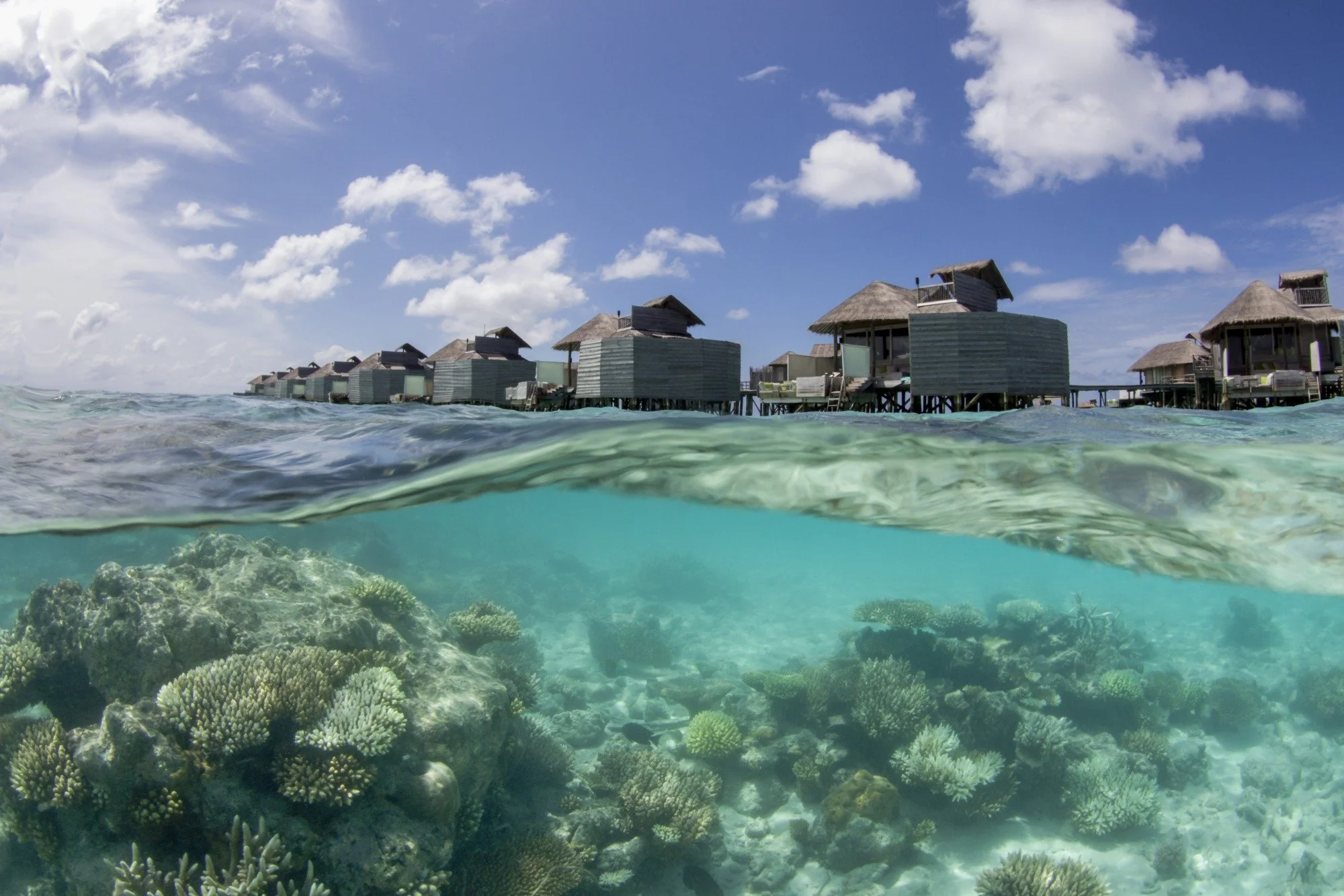 Six_Senses_Laamu_Water_Villas_and_Reef.jpg