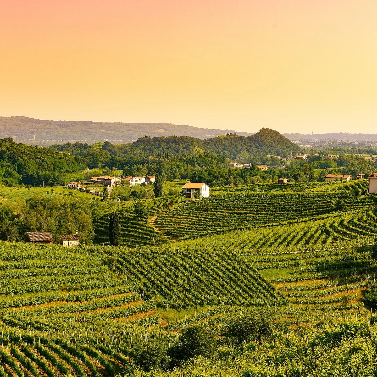 ✨&rsquo;I love everything you have suggested!!!&rsquo;

There&rsquo;s nothing better than receiving feedback like this - especially in the early planning stages of a holiday.  These well-travelled clients know Venice well, so we focused on offering s