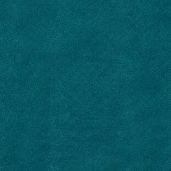 swatch-plush-teal.jpg