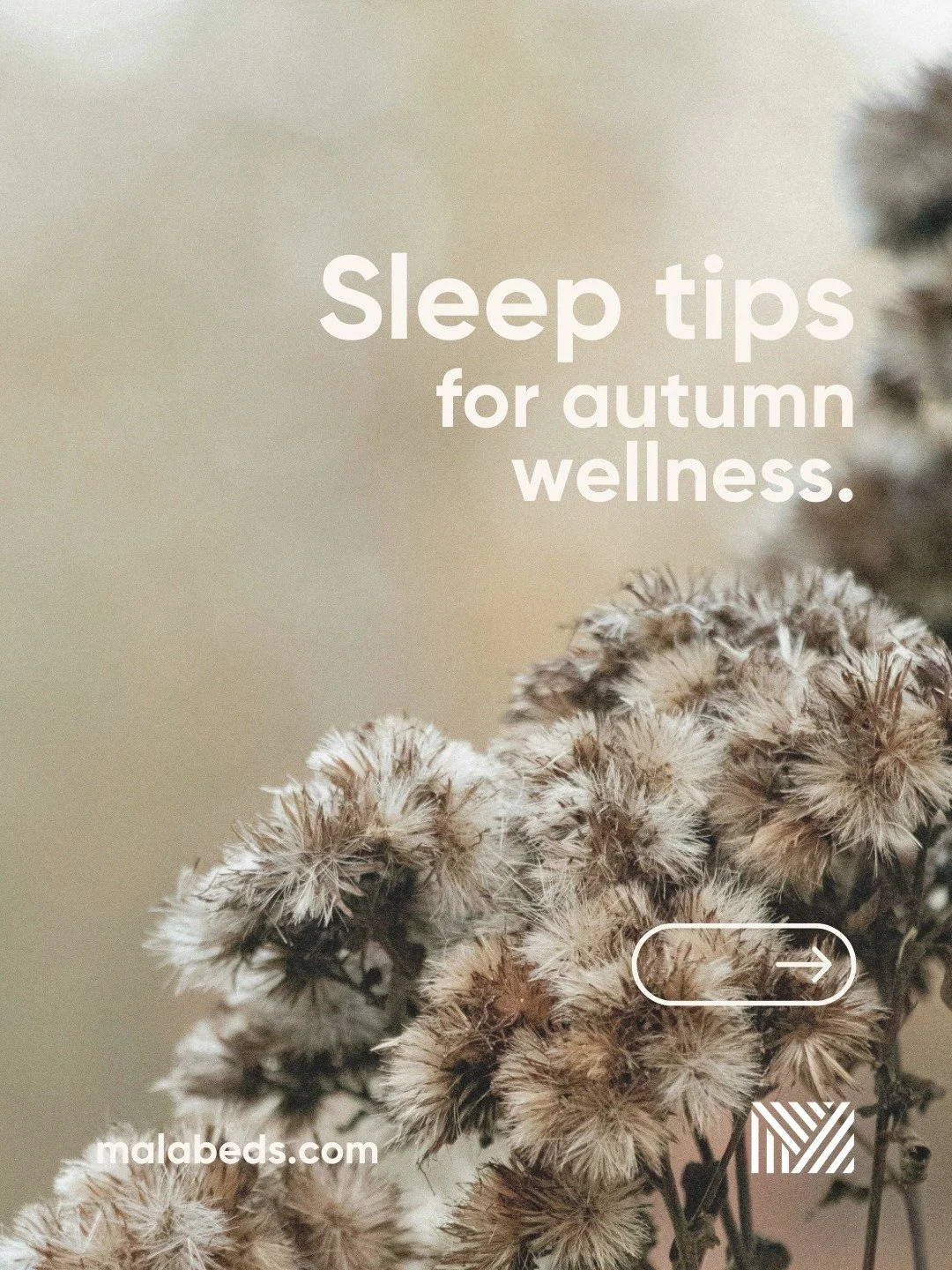 Cosy isn&rsquo;t cranking the heating, it&rsquo;s blankets and layers 🍁🛏️ Stay snug without the stuffiness.

📍 Find us at 33-34 High Street, Rugby CV21 3BW

MALA Beds - We're here to help you #SleepBetter.

#MalaBeds #Sleep #Relax #SleepTips #Self