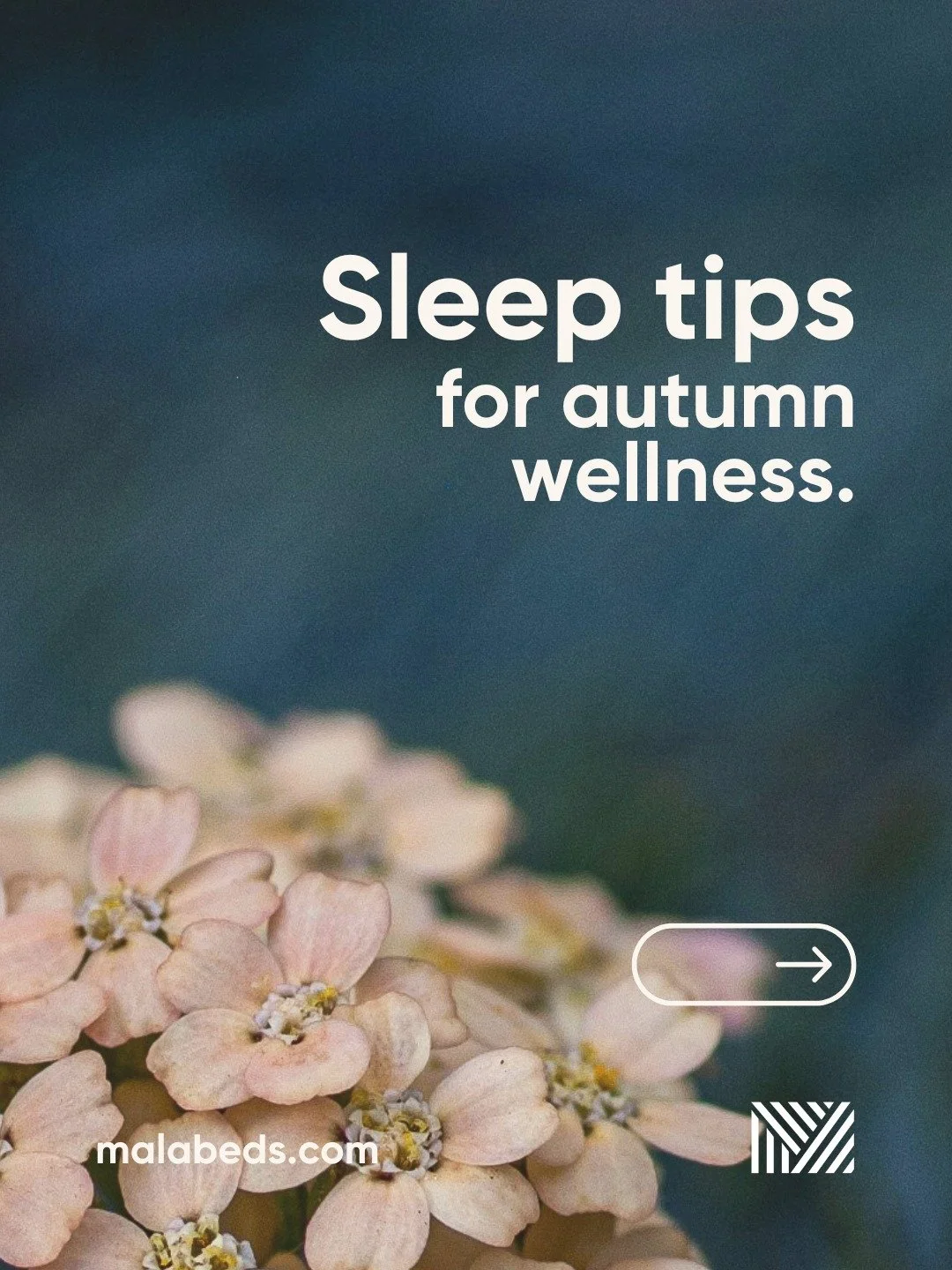 A calming candle, a soft spray, a seasonal scent 🌿✨ Small rituals make bedtime feel restful.

📍 Find us at 33-34 High Street, Rugby CV21 3BW

MALA Beds - We're here to help you #SleepBetter.

#MalaBeds #Sleep #Relax #SleepTips #Selfcare #Calm #Autu