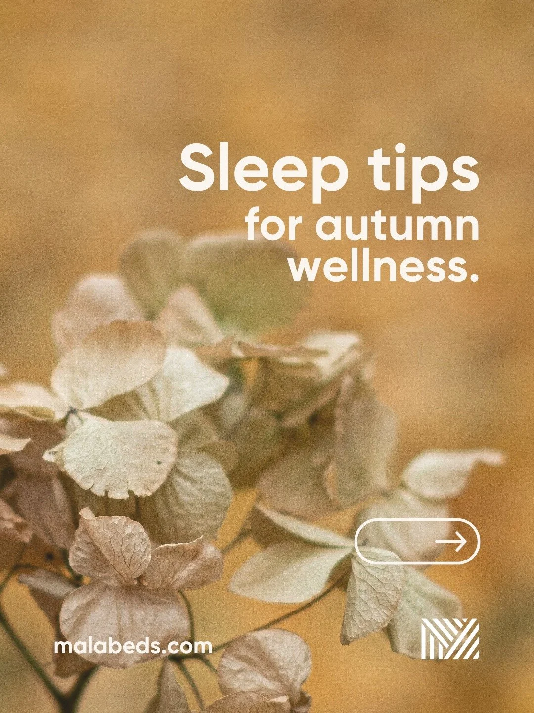 Catch the last glow of the day 🌅📖 Use golden hour to slow down, stretch, or read before bed.
📍 Find us at 33-34 High Street, Rugby CV21 3BW
MALA Beds - We're here to help you #SleepBetter.
#MalaBeds #Sleep #Relax #SleepTips #Selfcare #Calm #Aut