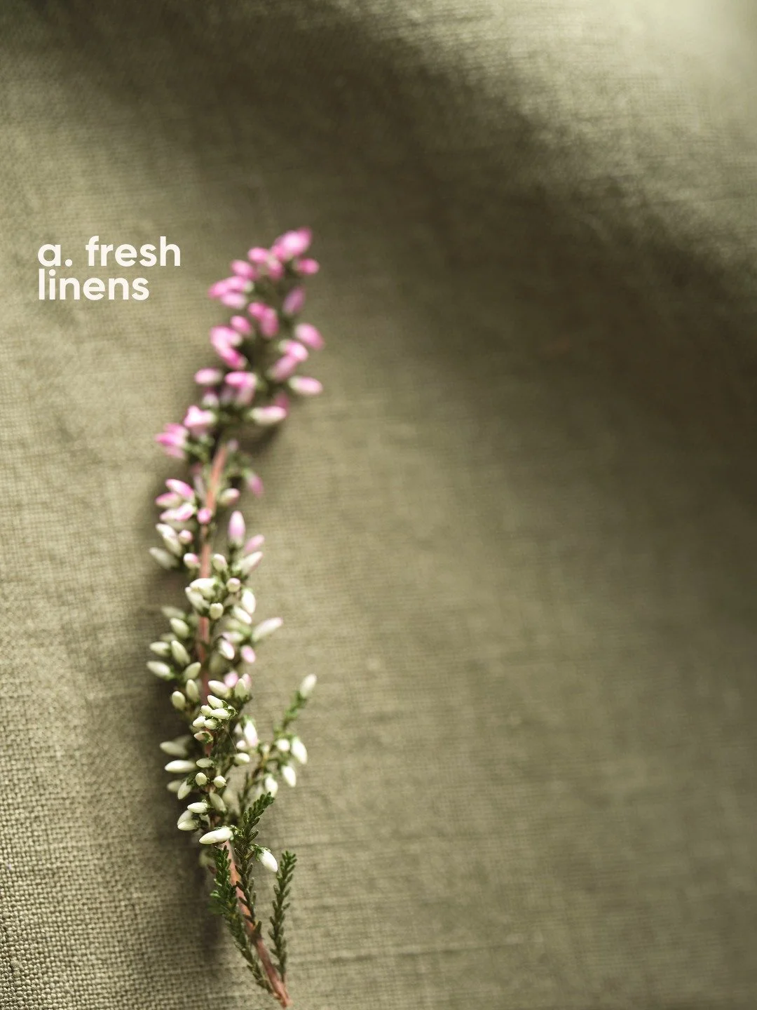 When it&rsquo;s time to wind down, do you reach for fresh linens &mdash; light and breathable &mdash; or fleeced throws for a softer, warmer feel? ✨

#MalaBeds #Sleep #SleepInspo #Bedding #HomeDecor