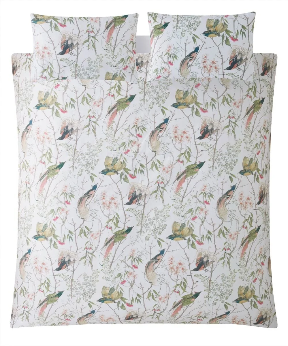 clavering_birds_reverse_cut_out.jpg