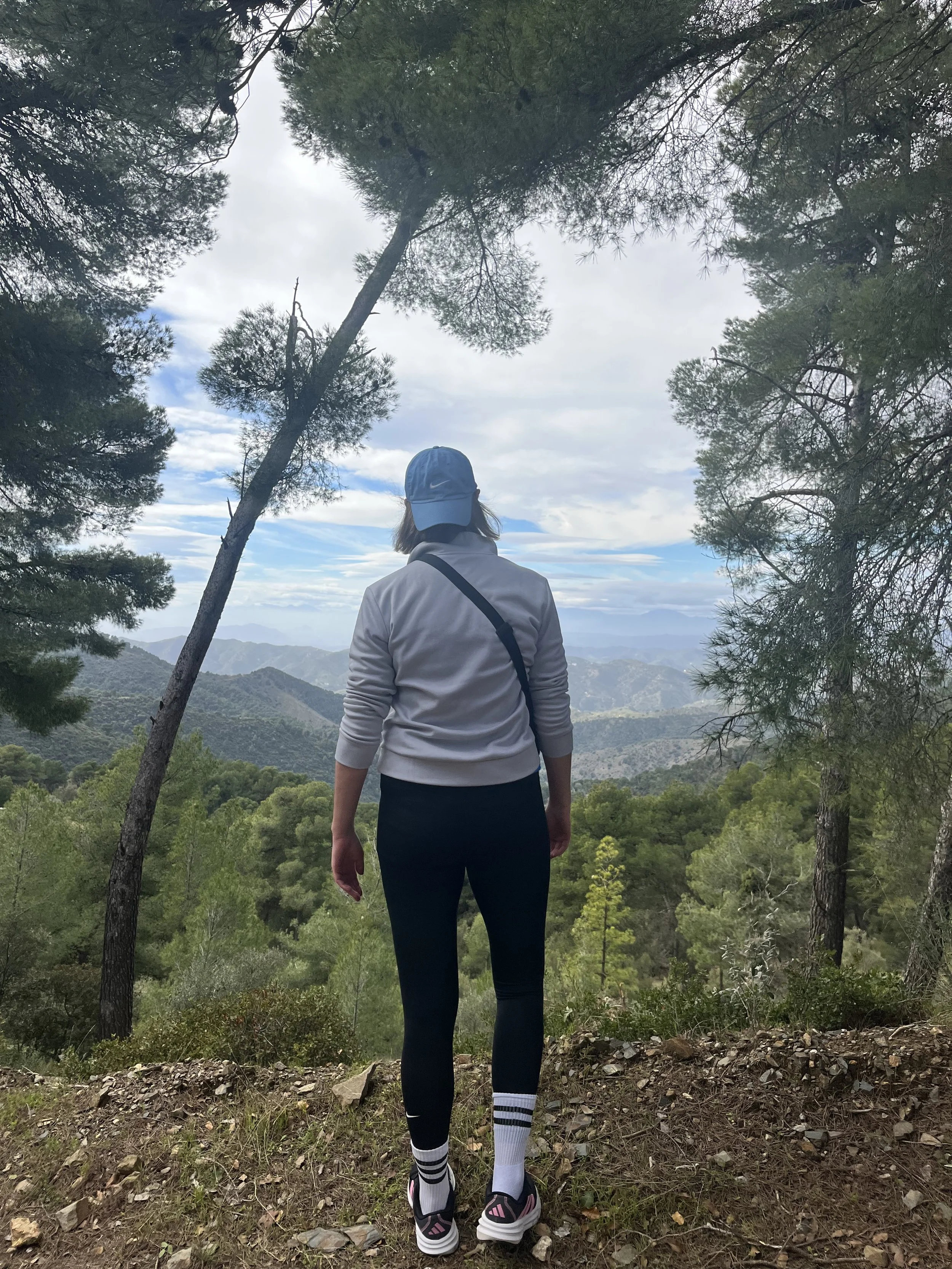 Why Is it Easier to Scale Everest Than Scale Change?