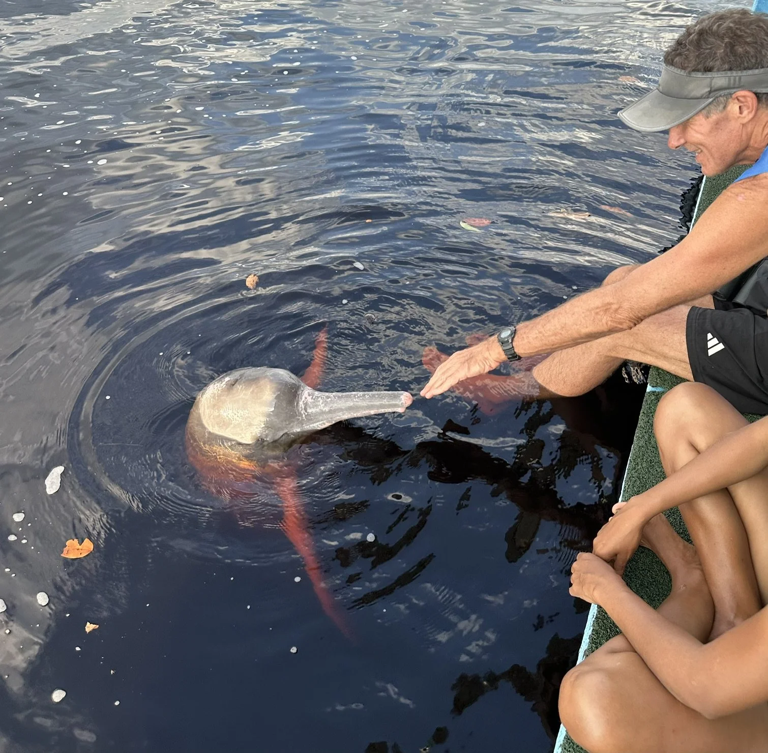 Our afternoon with the pink river dolphins is always memorable