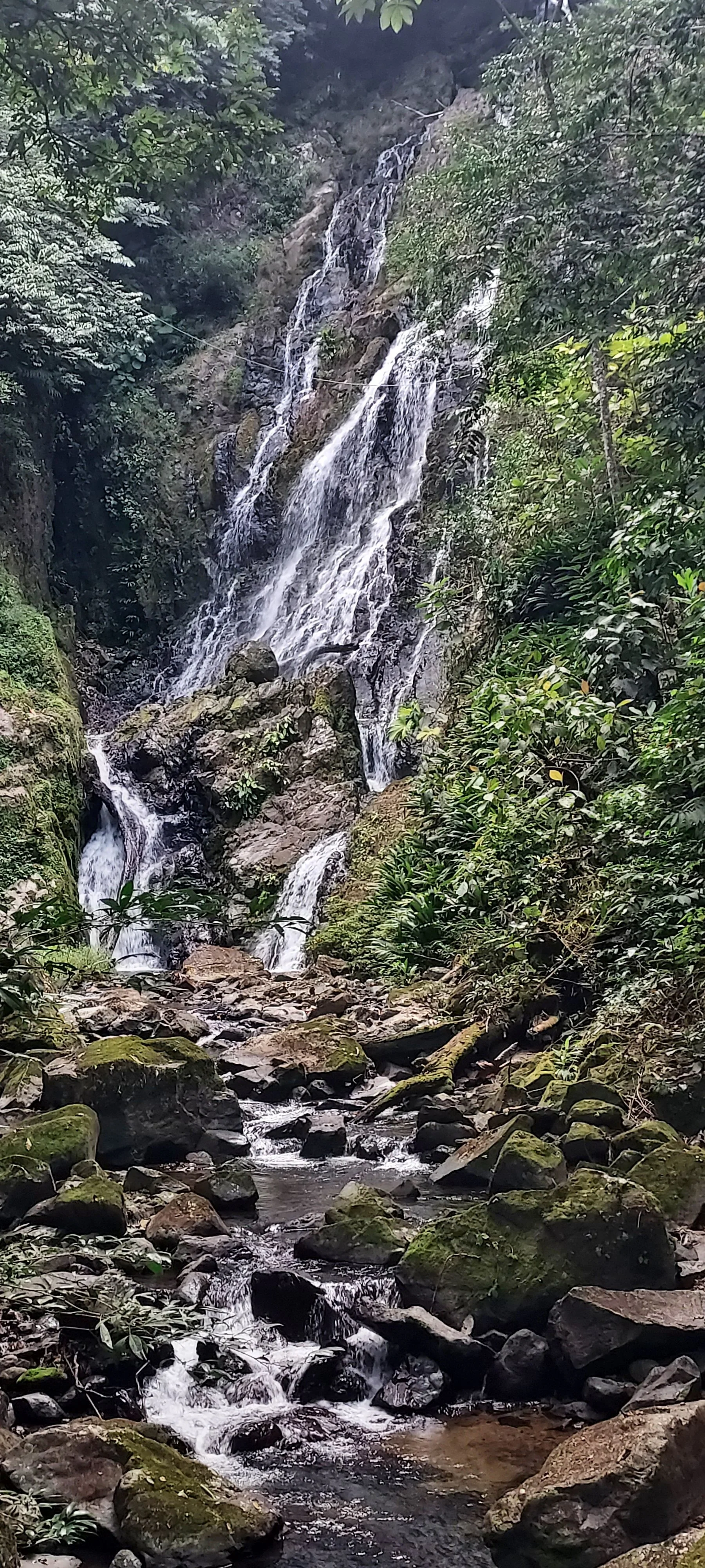 Canopy Lodge Waterfall