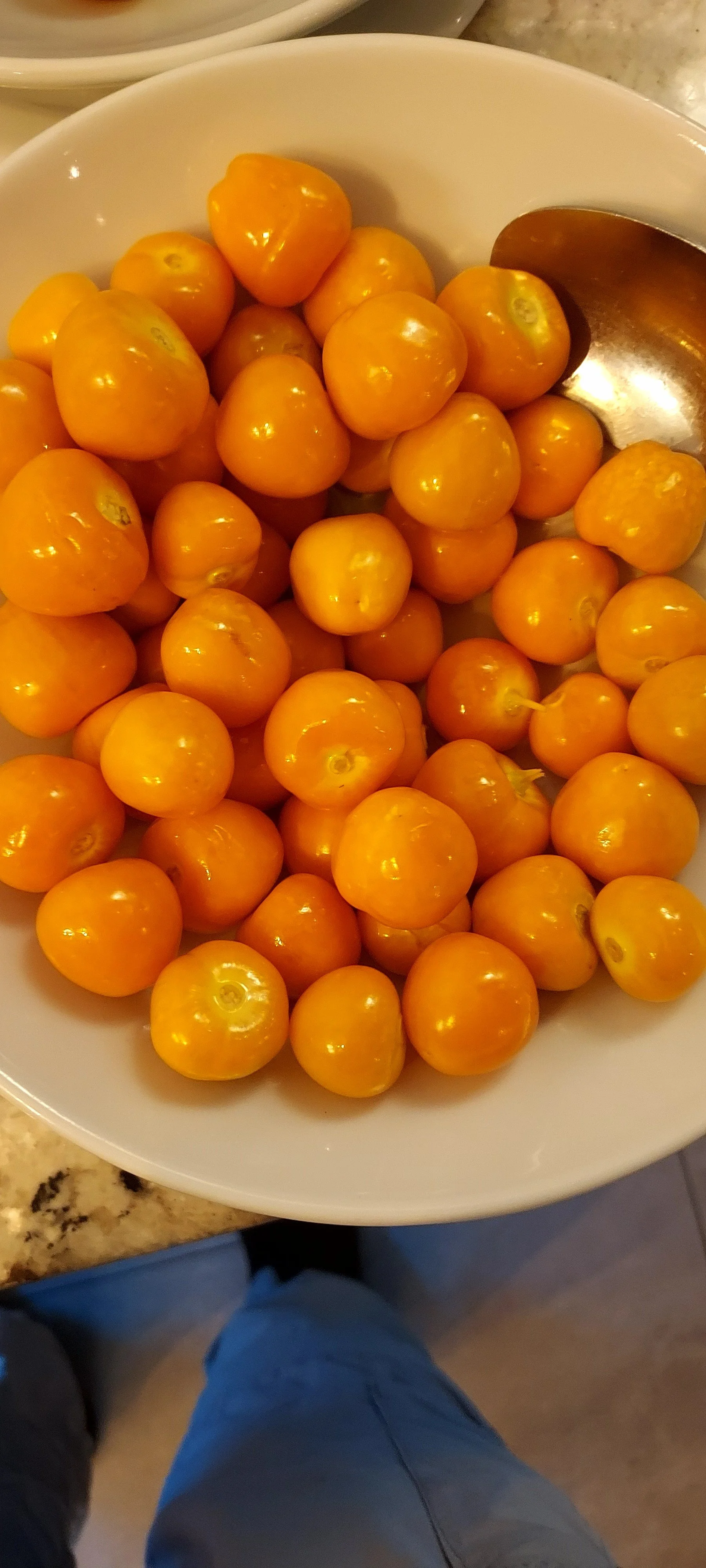 Uvilla, one of several Andean Solanums that is absolutely delicious